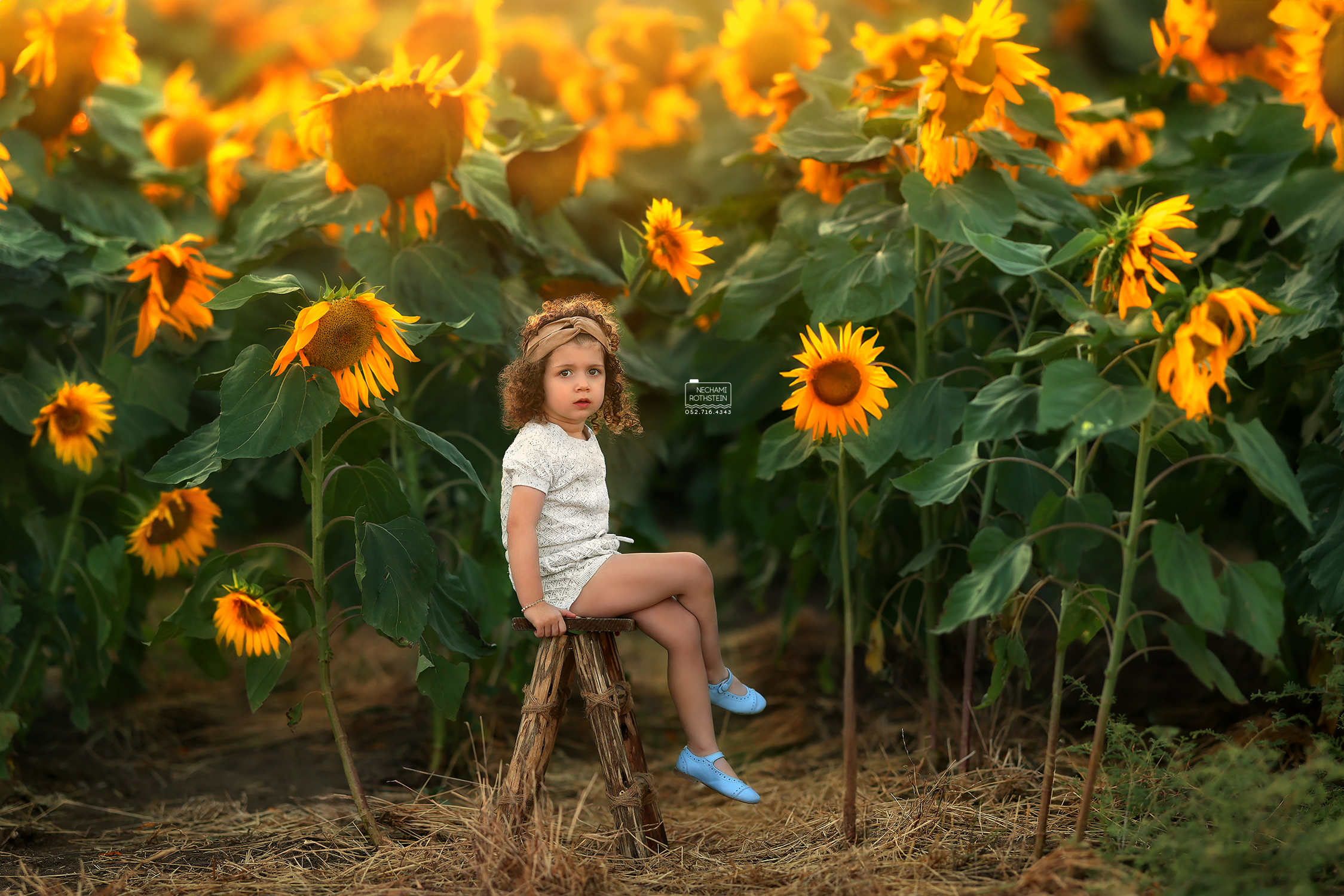 צילום נחמי רוטשטיין.jpg