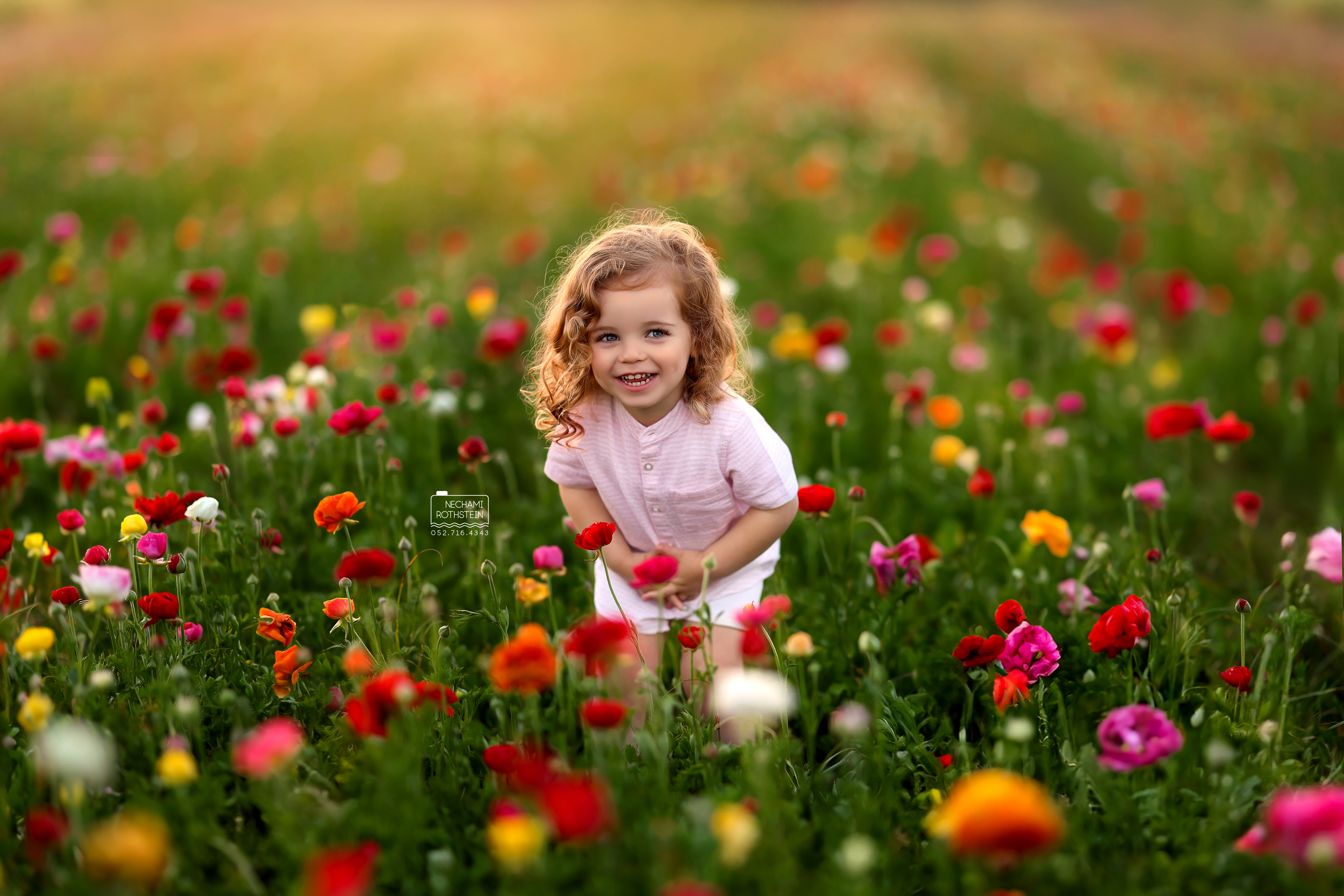 צילום נחמי רוטשטיין.jpg