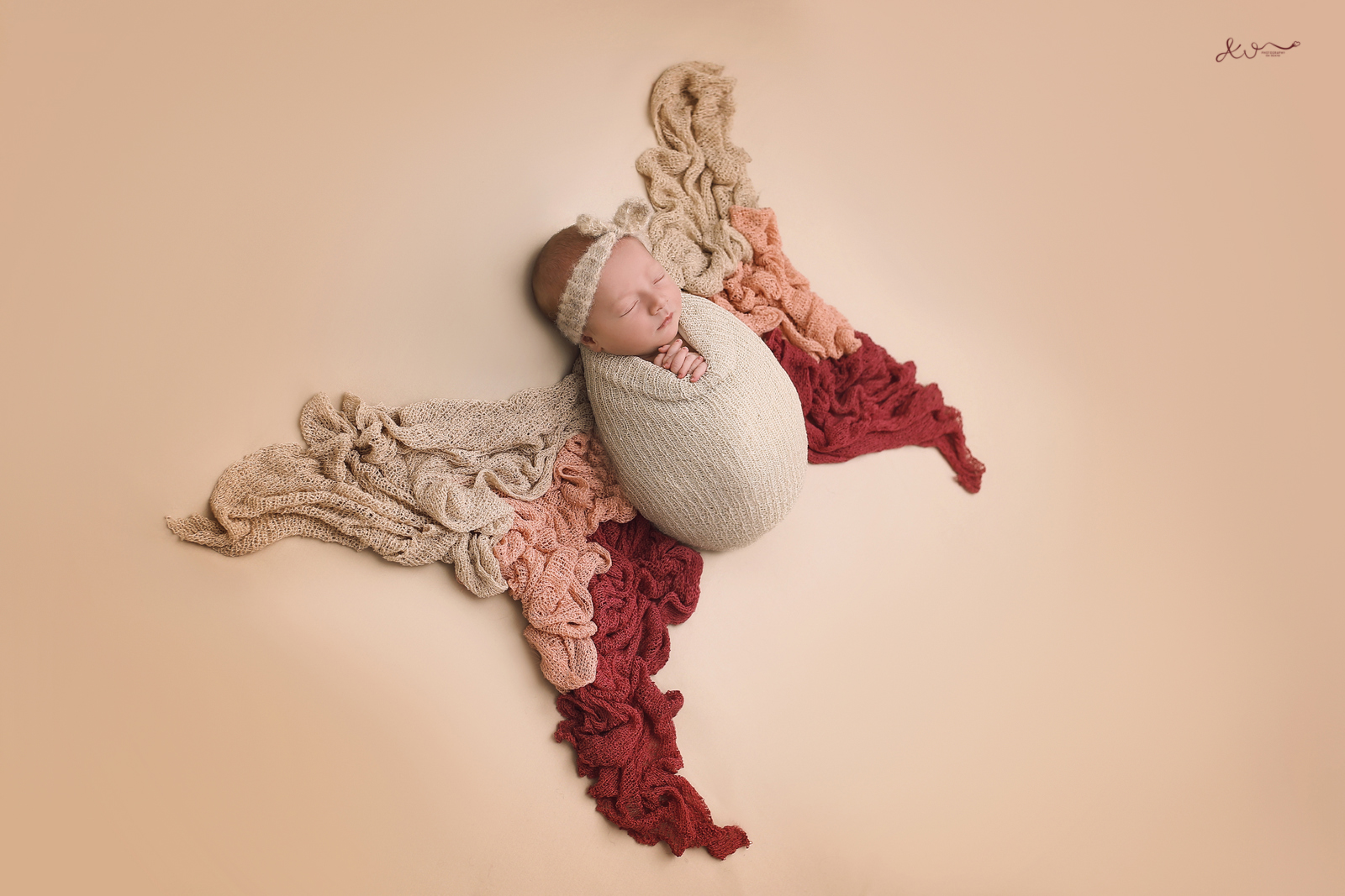 צילום ניו בורן אילה וויג 0548524765.JPG