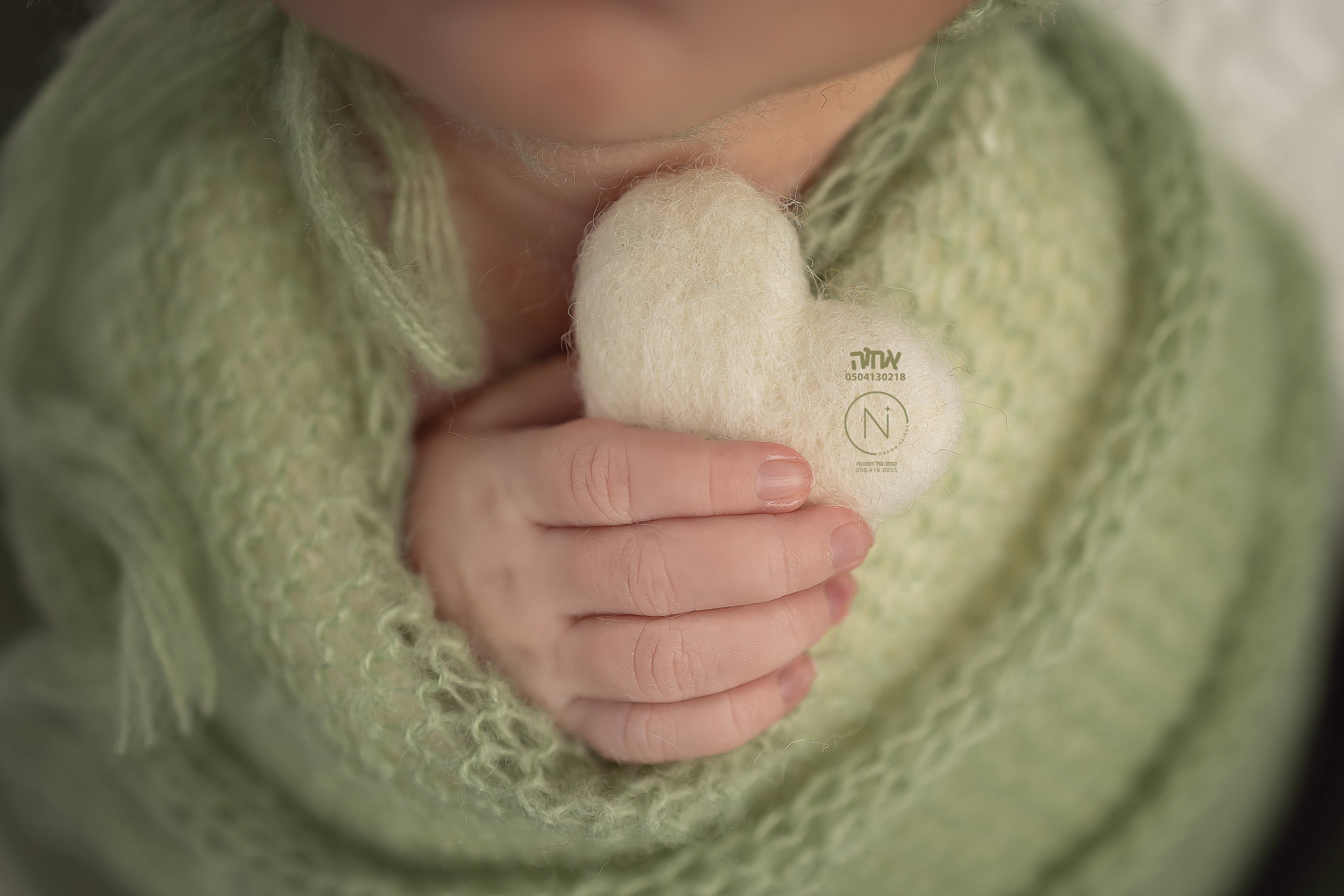 צילום נעמה נייהוז 0504160055 (1) (2).jpg