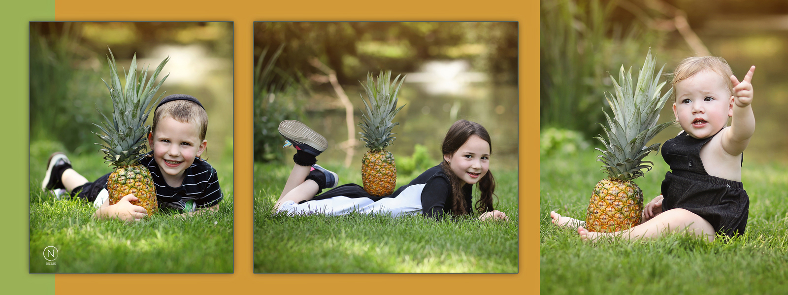 צילום נעמה נייהוז 0504160055 -7.jpg