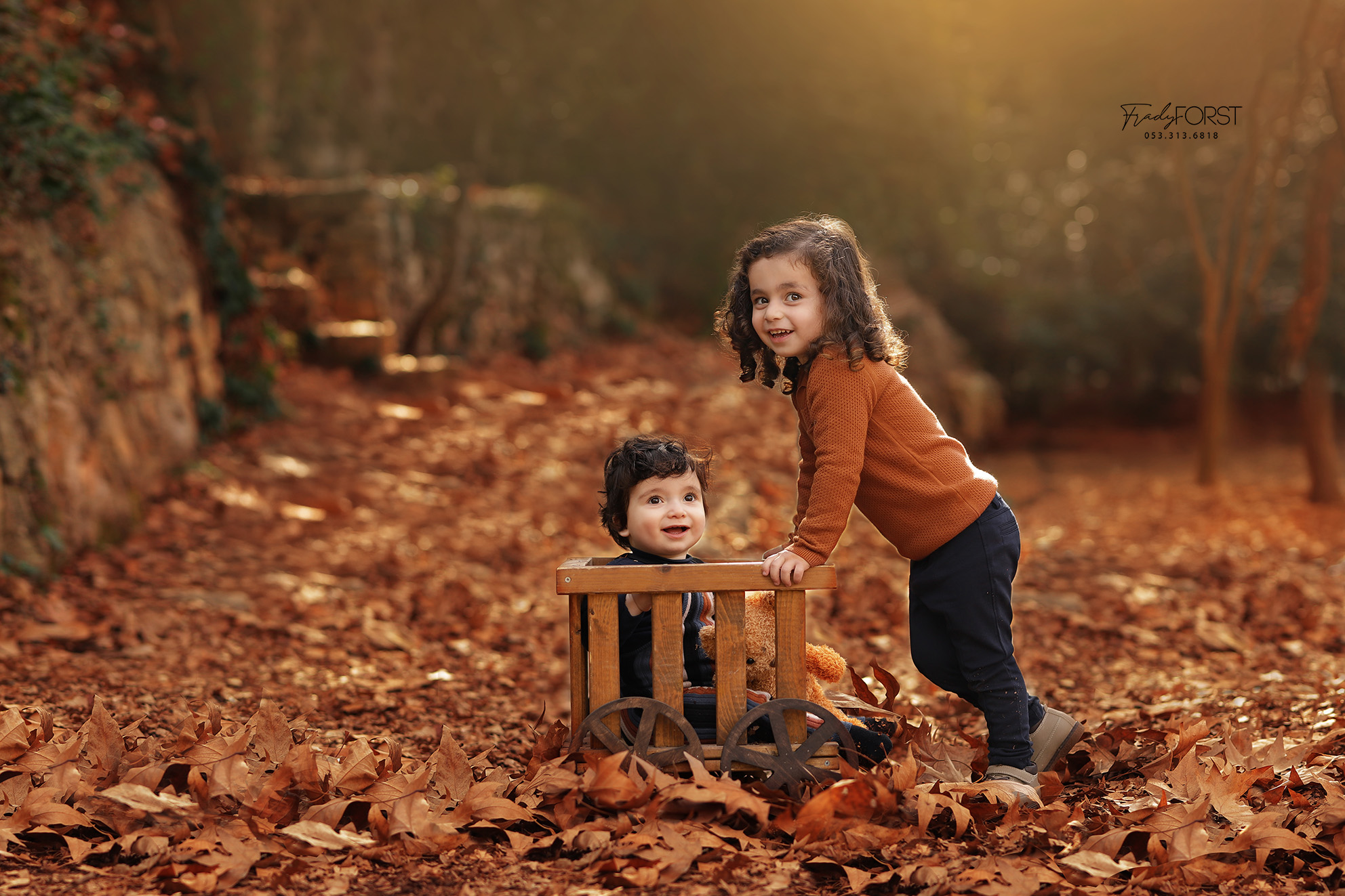 צילום פראדי פורסט 0533136818 (1).jpg