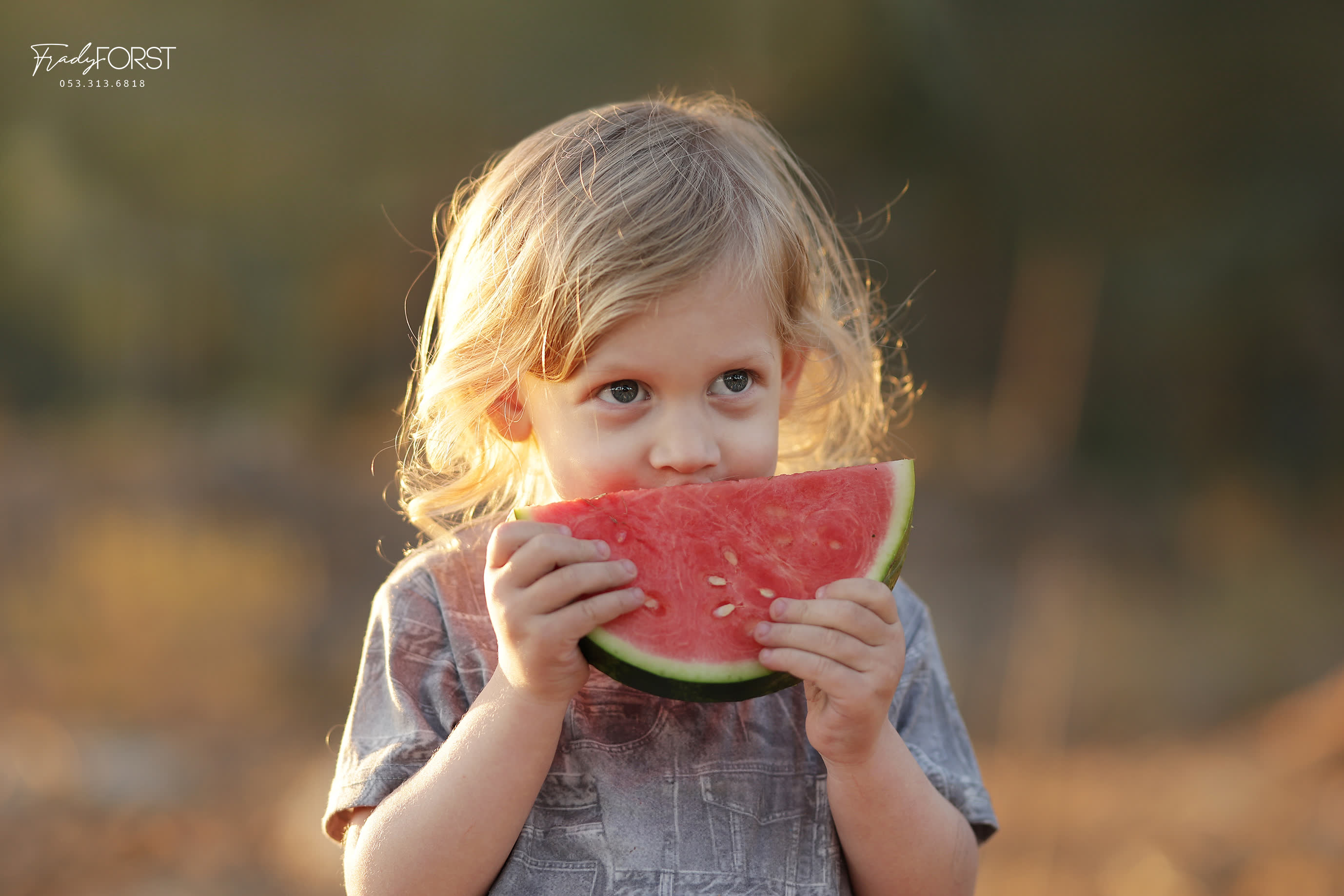 צילום פראדי פורסט 0533136818 (12).jpg