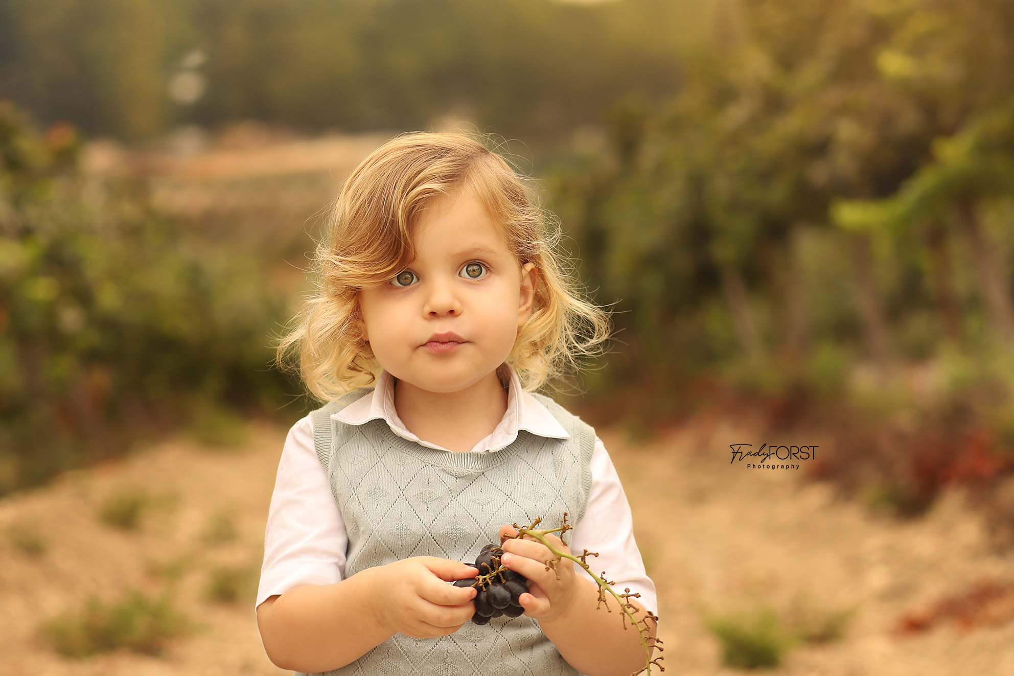 צילום פראדי פורסט 0533136818 (15).jpg