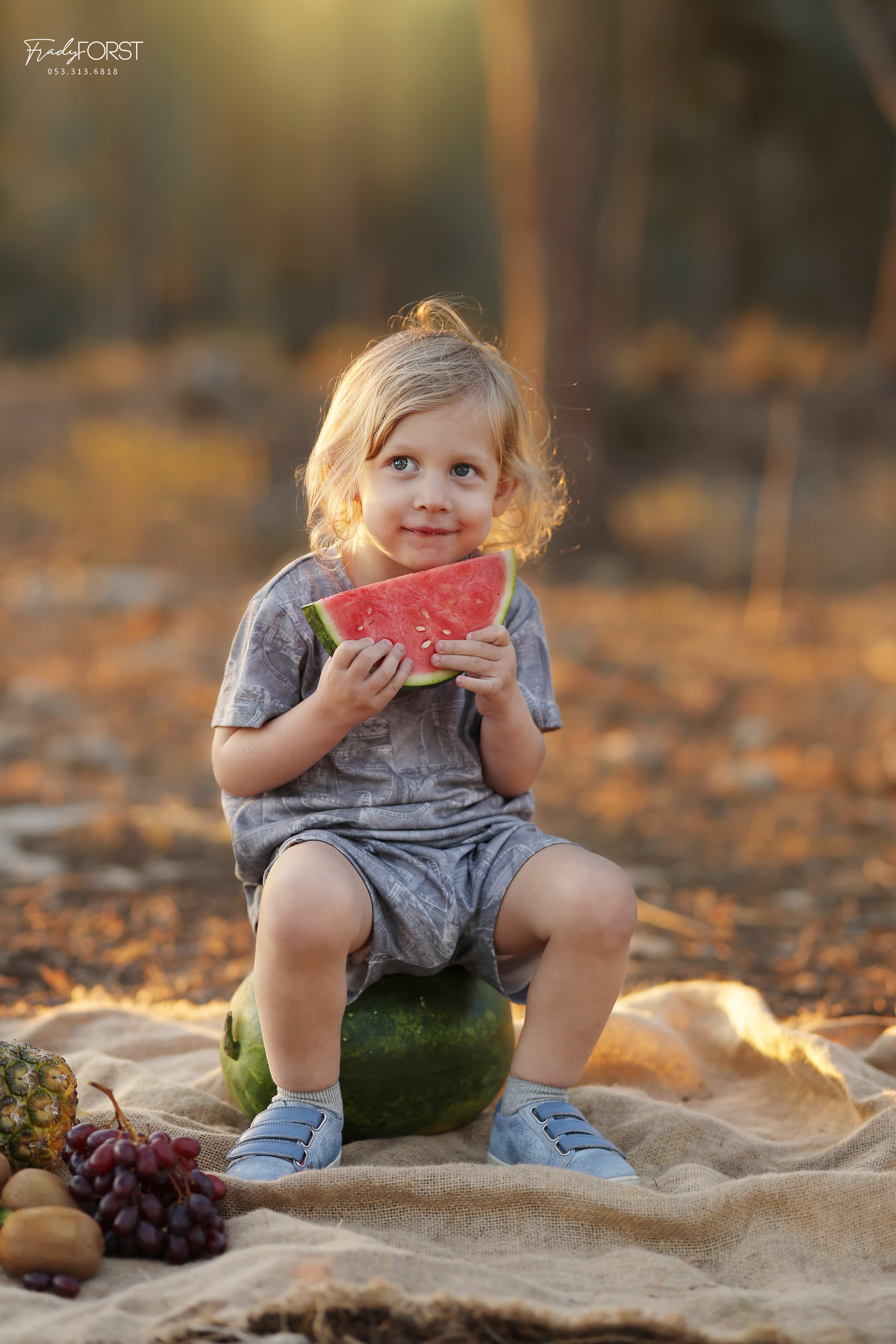 צילום פראדי פורסט 0533136818 (15).jpg