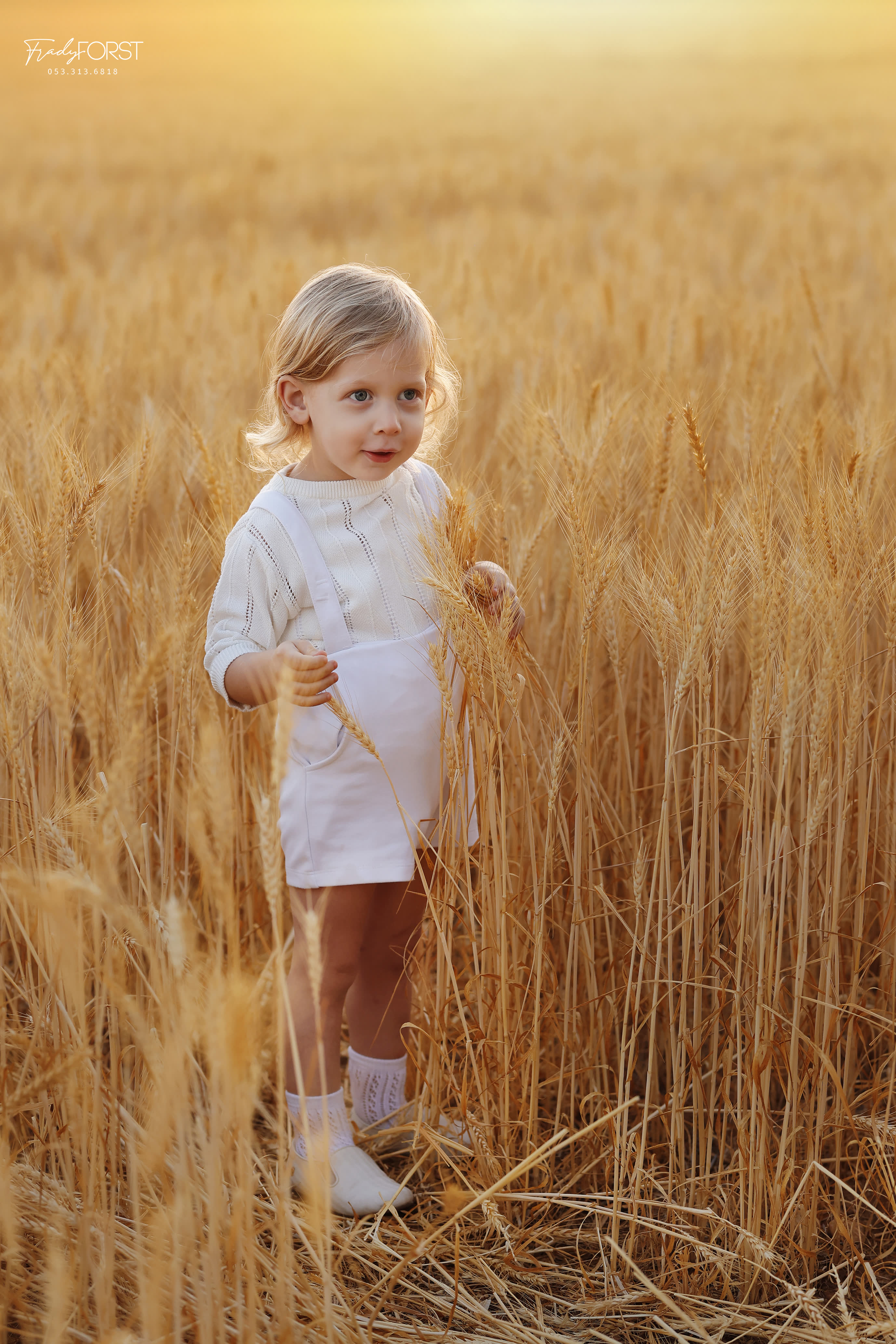 צילום פראדי פורסט 0533136818 (17).jpg