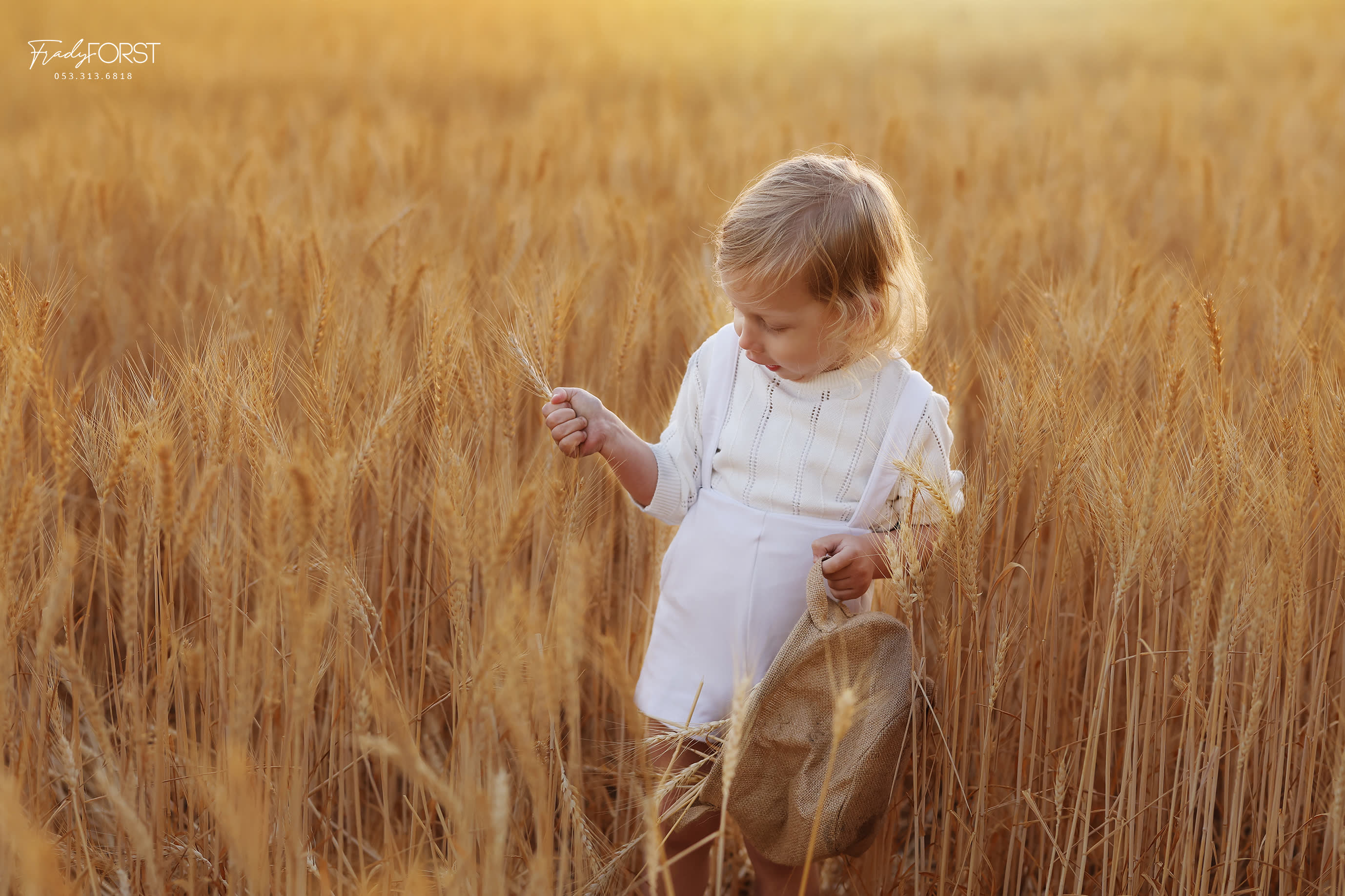 צילום פראדי פורסט 0533136818 (19).jpg