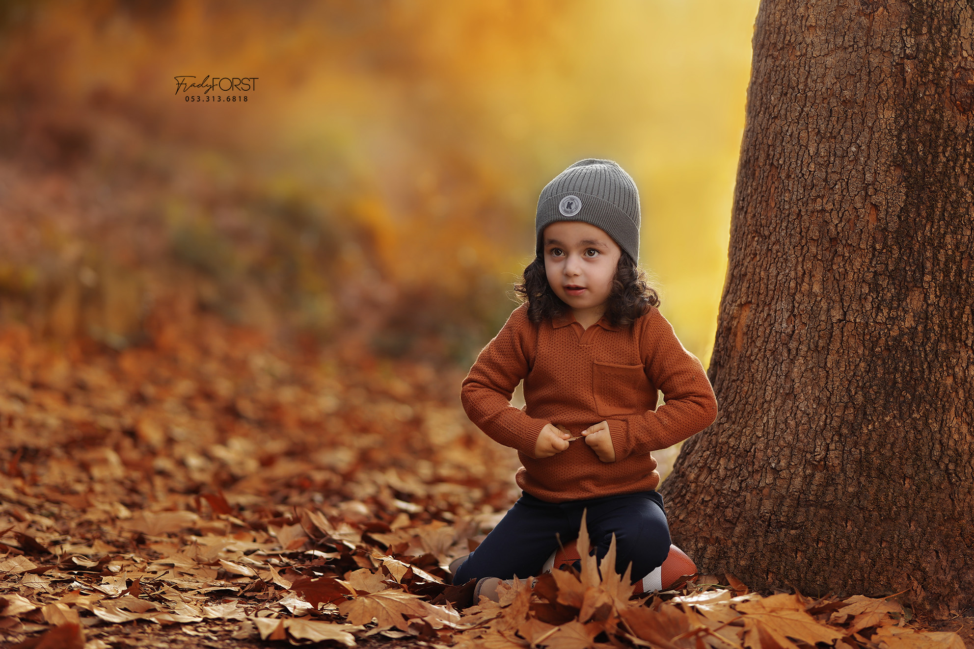 צילום פראדי פורסט 0533136818 (2).jpg