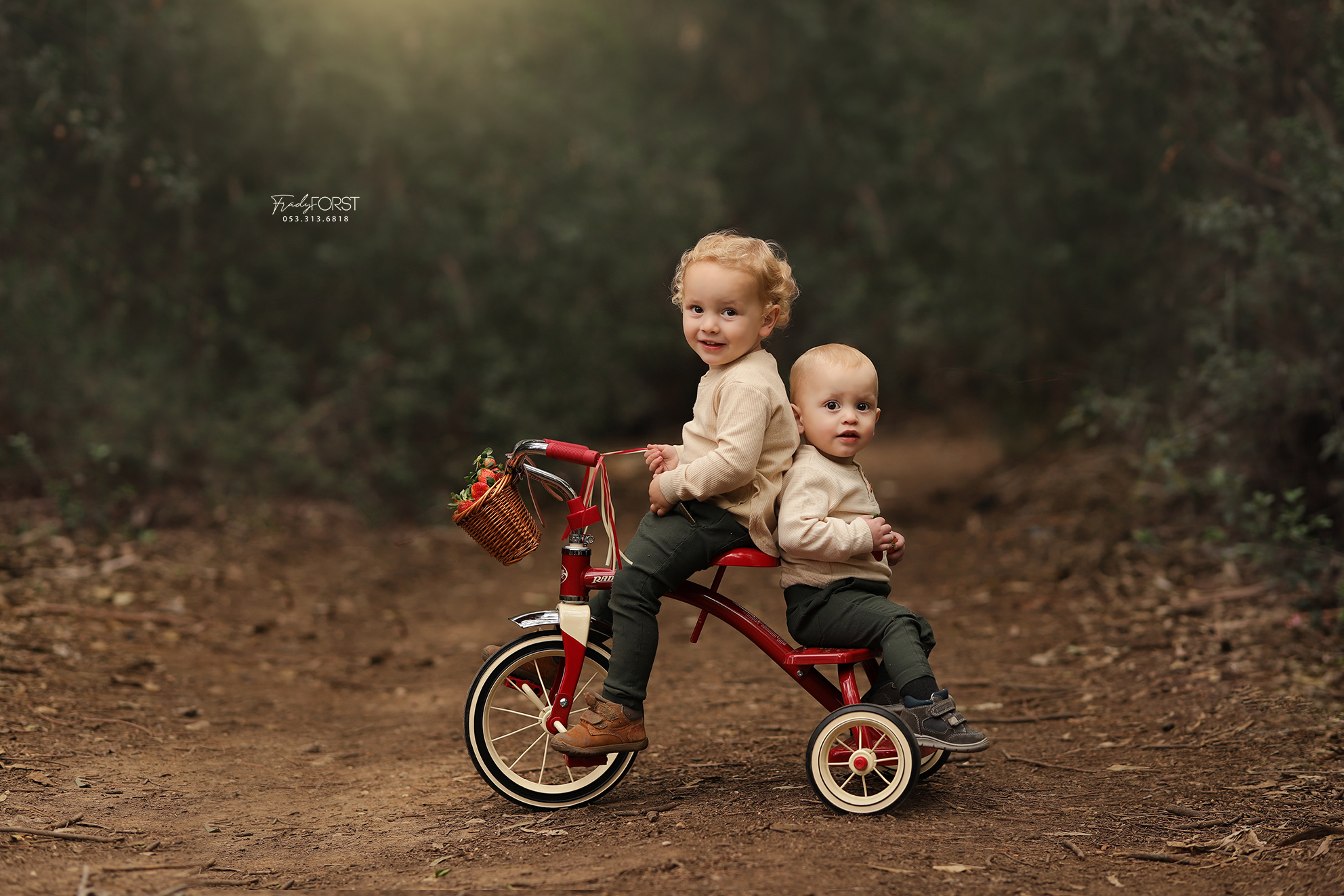 צילום פראדי פורסט 0533136818 (3).jpg