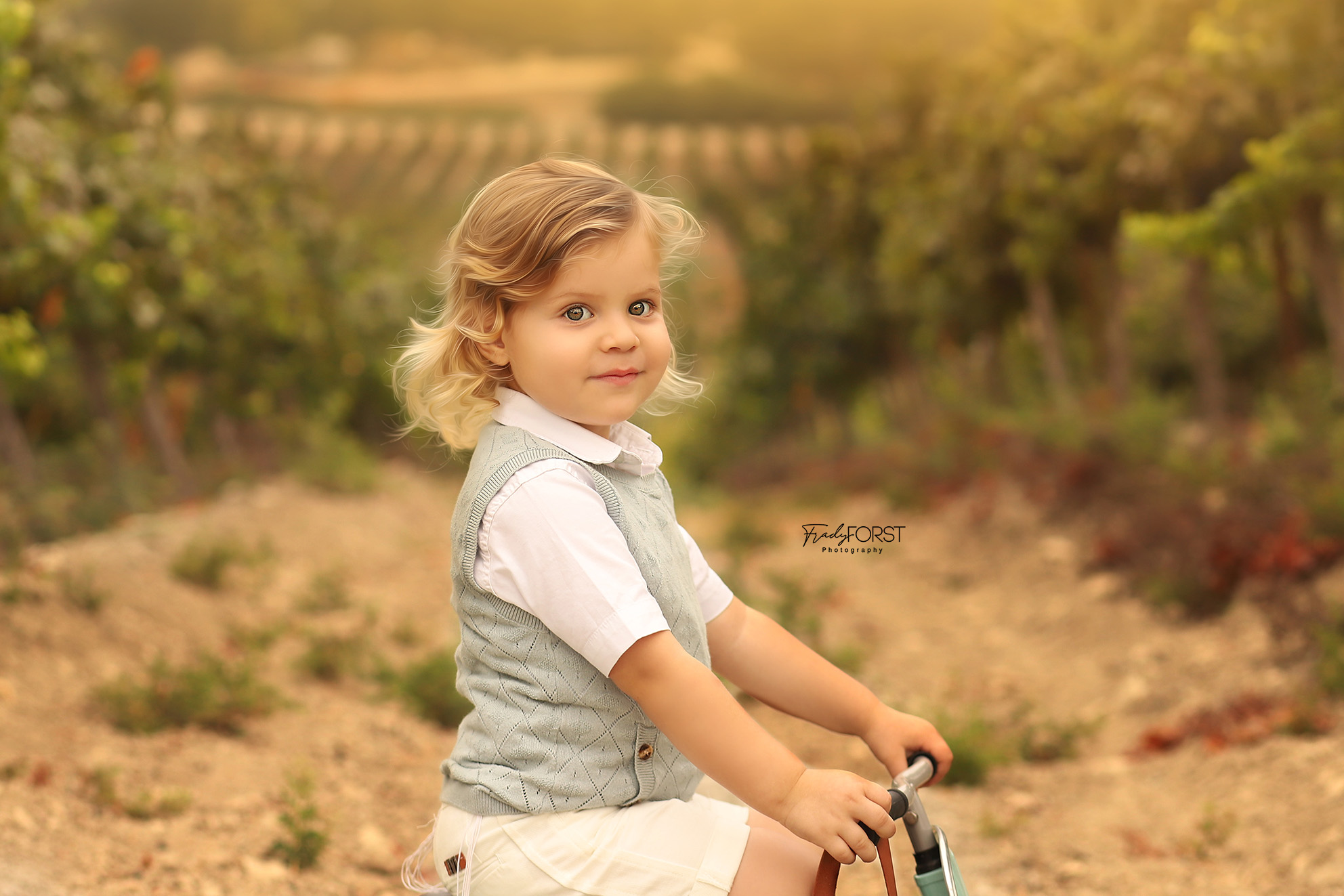 צילום פראדי פורסט 0533136818 (4).jpg