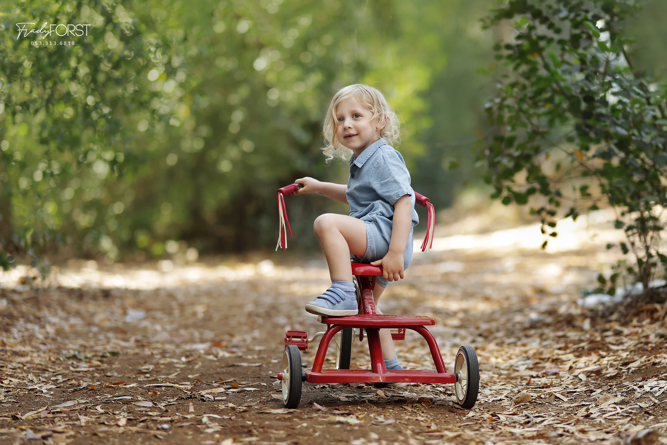 צילום פראדי פורסט 0533136818 (4).jpg