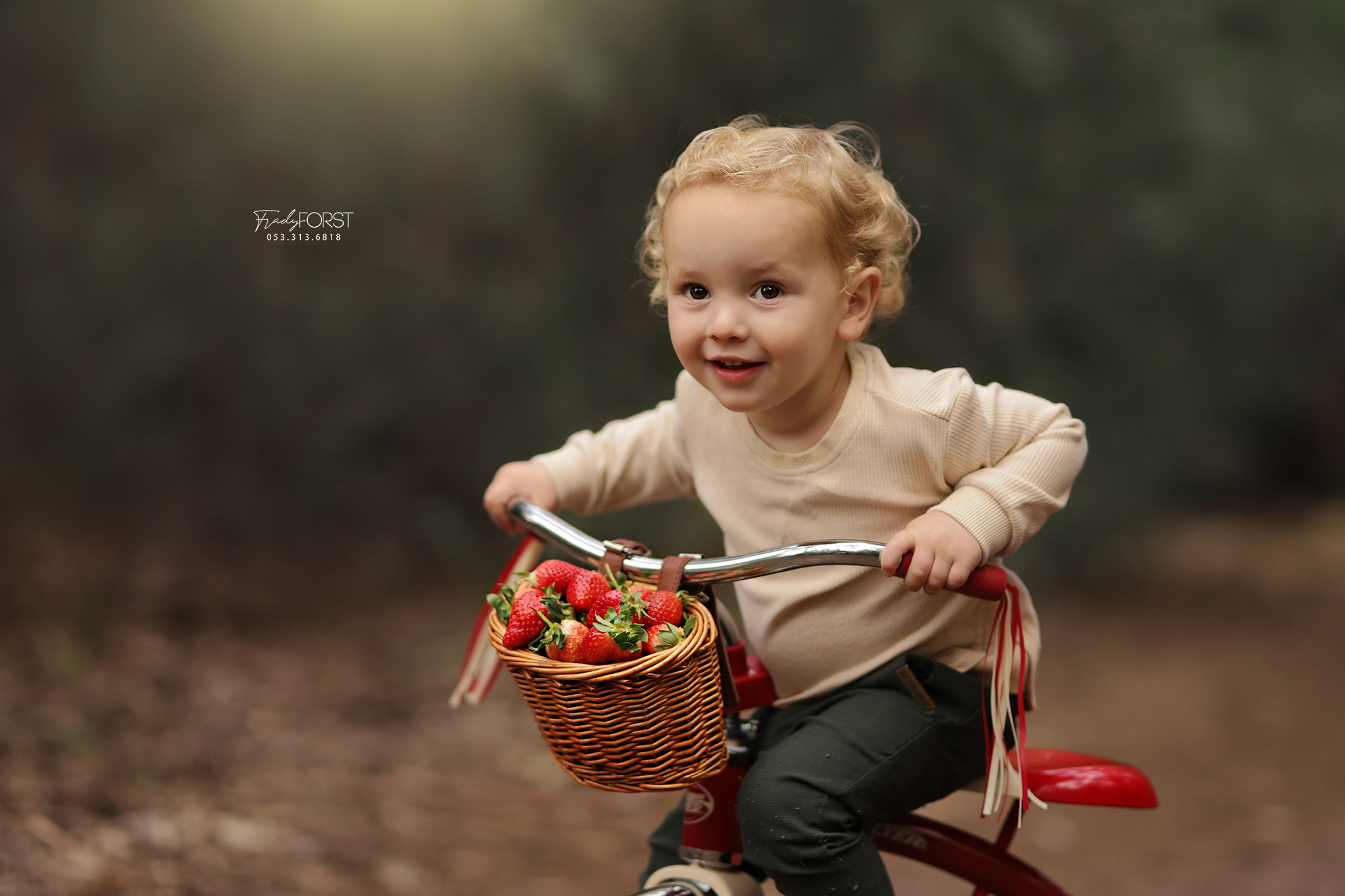 צילום פראדי פורסט 0533136818 (5).jpg