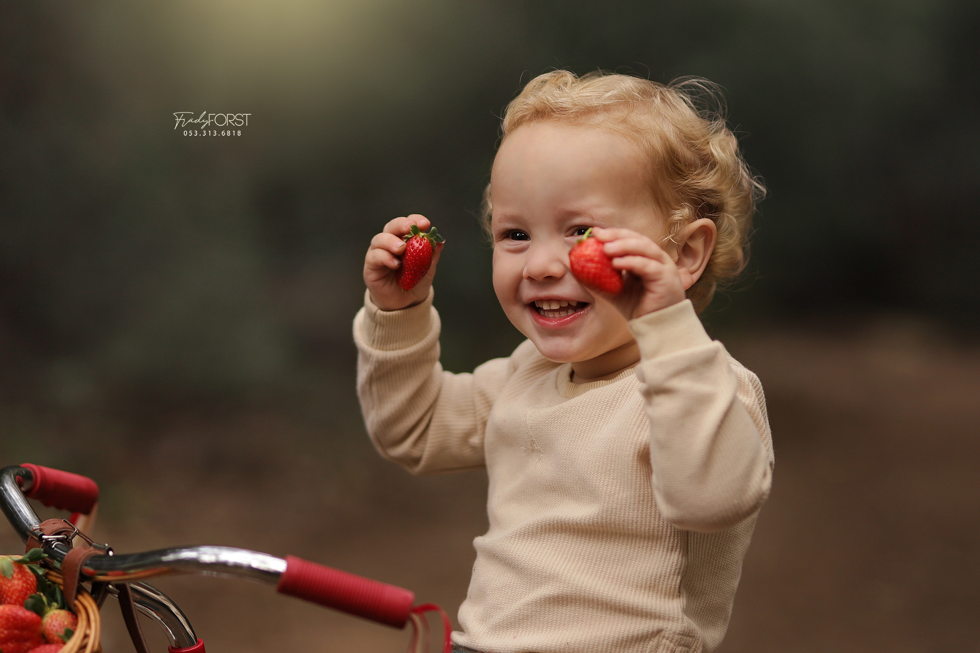 צילום פראדי פורסט 0533136818 (7).jpg