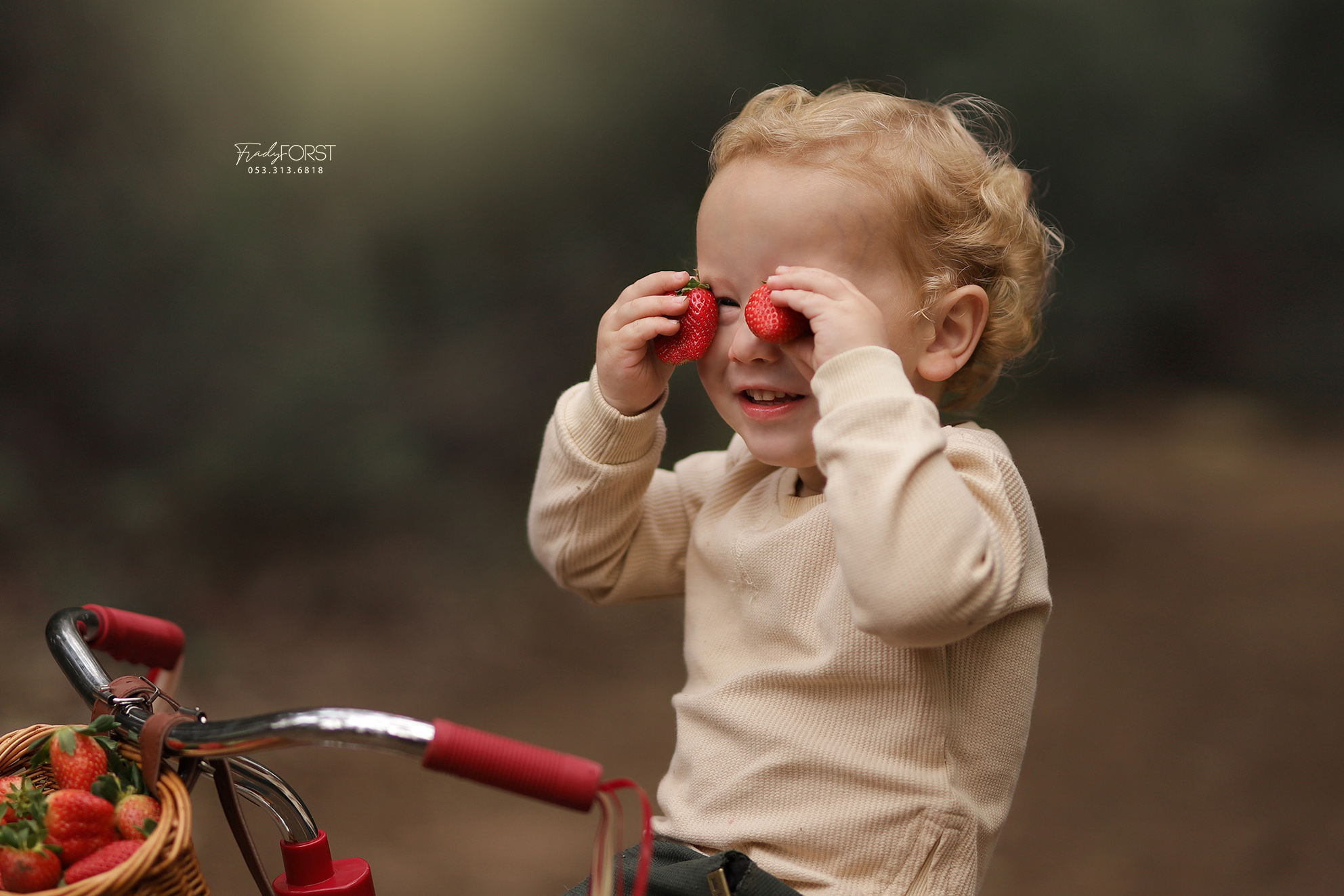 צילום פראדי פורסט 0533136818 (8).jpg