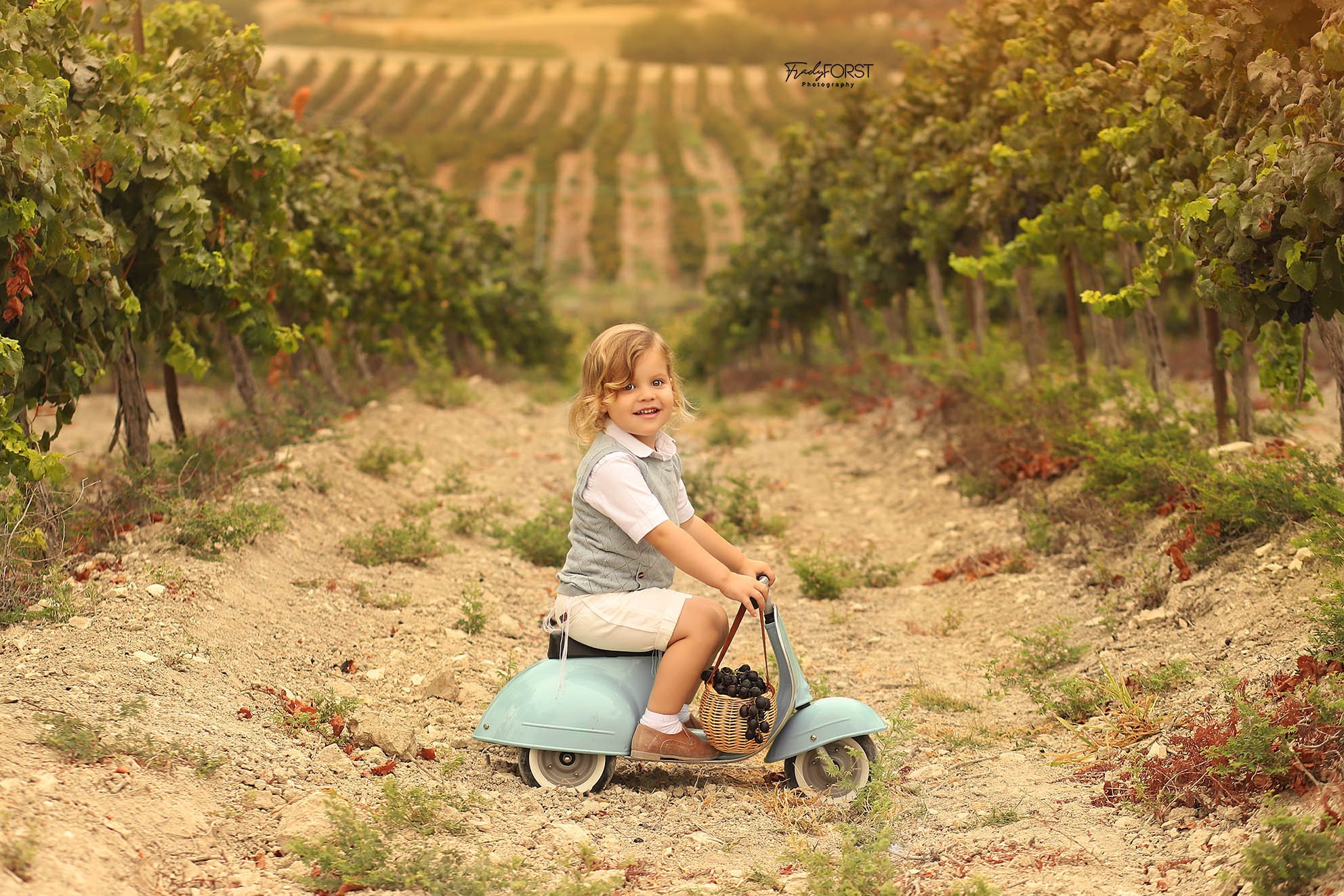 צילום פראדי פורסט 0533136818.jpg