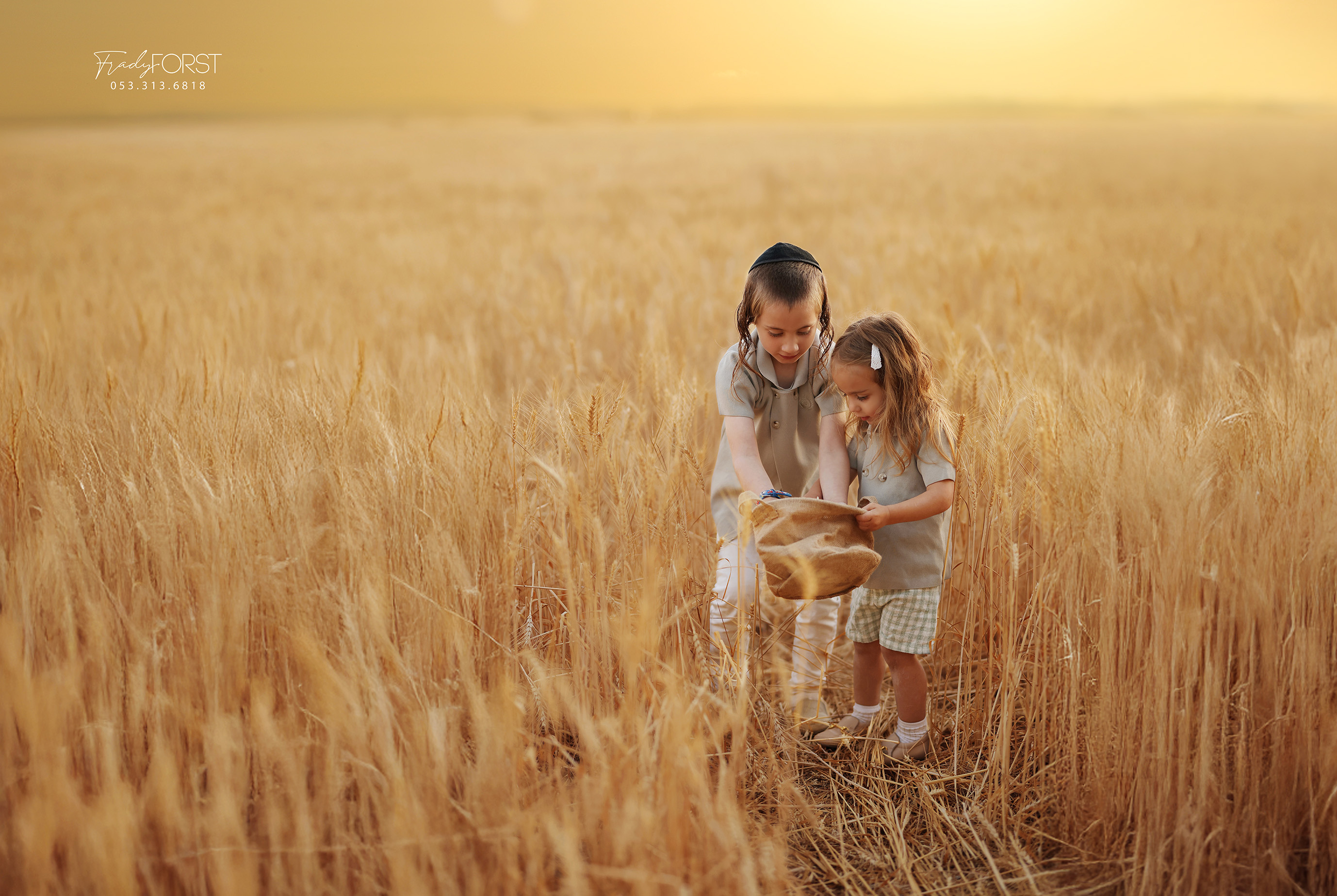 צילום פראדי פורסט 0533136818.jpg