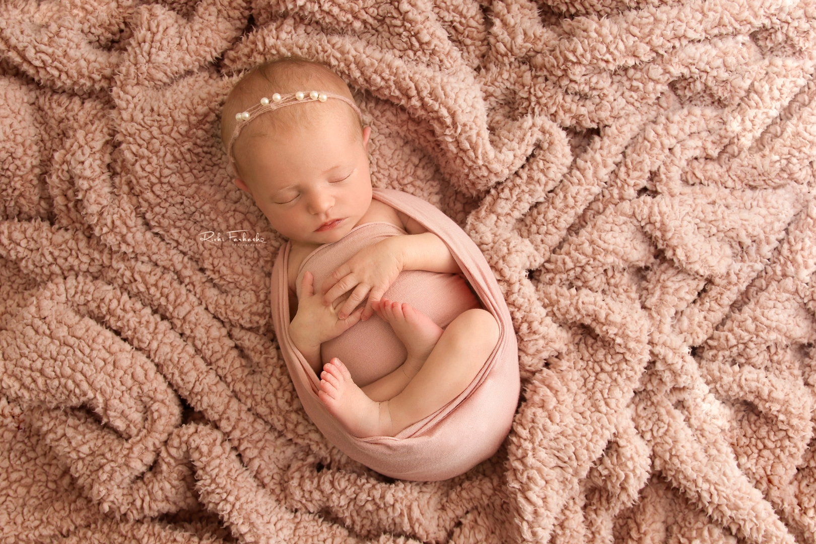 צילום רבקי פרקש 0533195097 (1) (Large).jpg