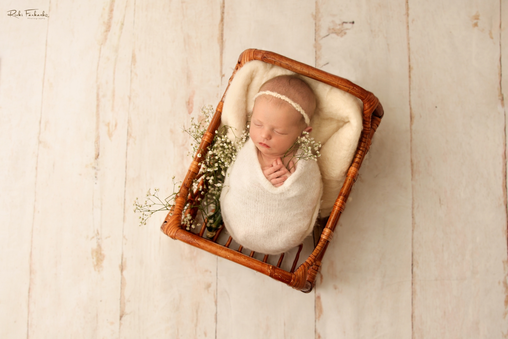 צילום רבקי פרקש 0533195097 (2) (Large).jpg