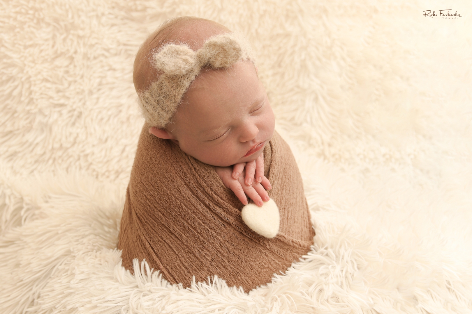 צילום רבקי פרקש 0533195097 (6) (Large).jpg