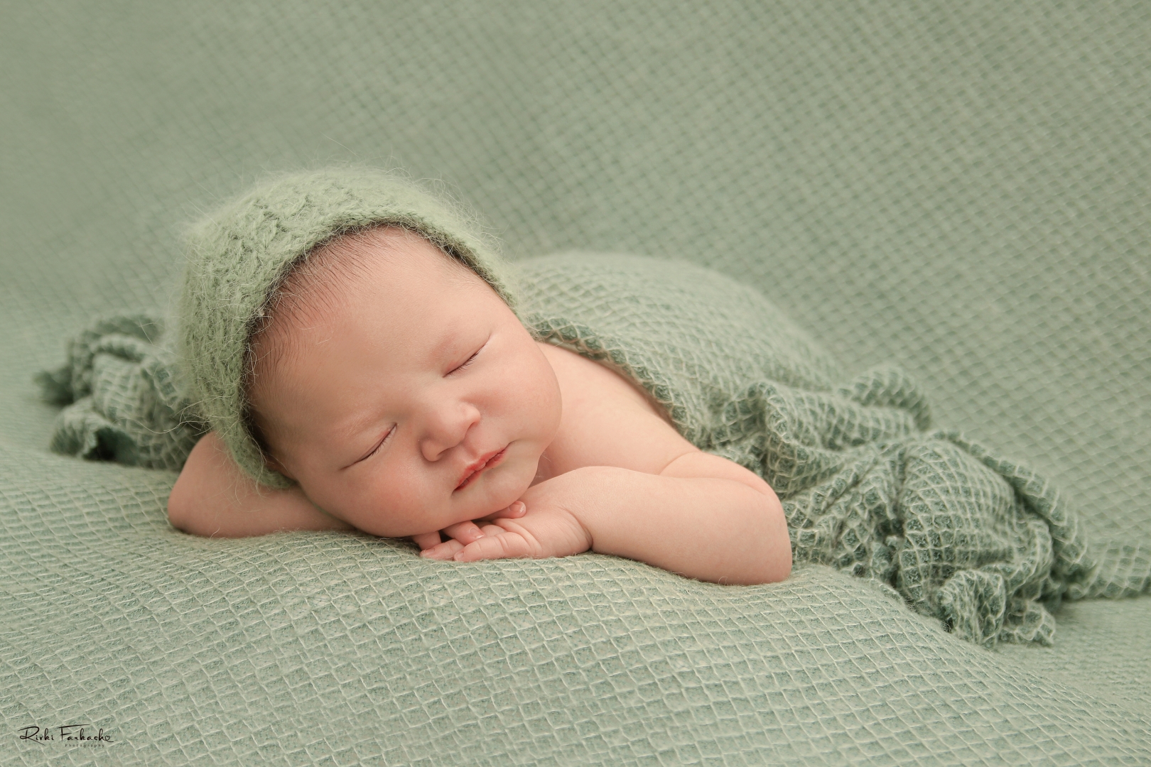 צילום רבקי פרקש (2).jpg