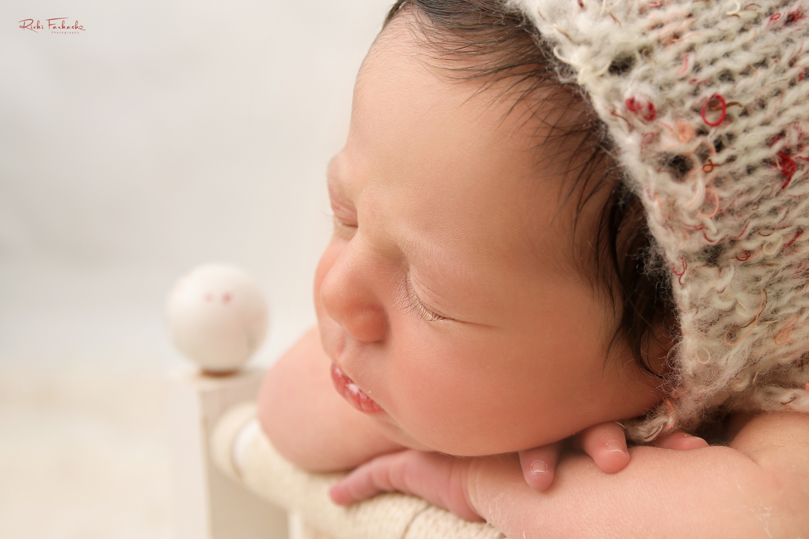 צילום רבקי פרקש (3).jpg