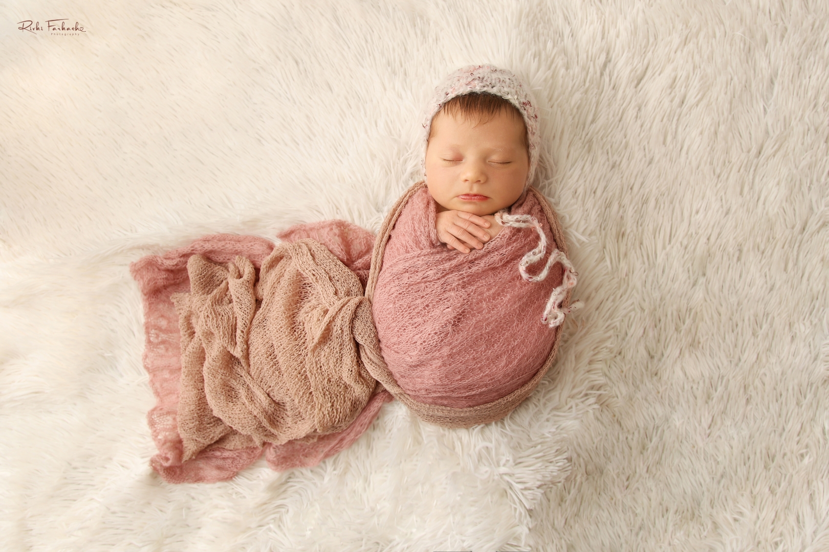 צילום רבקי פרקש (4).jpg