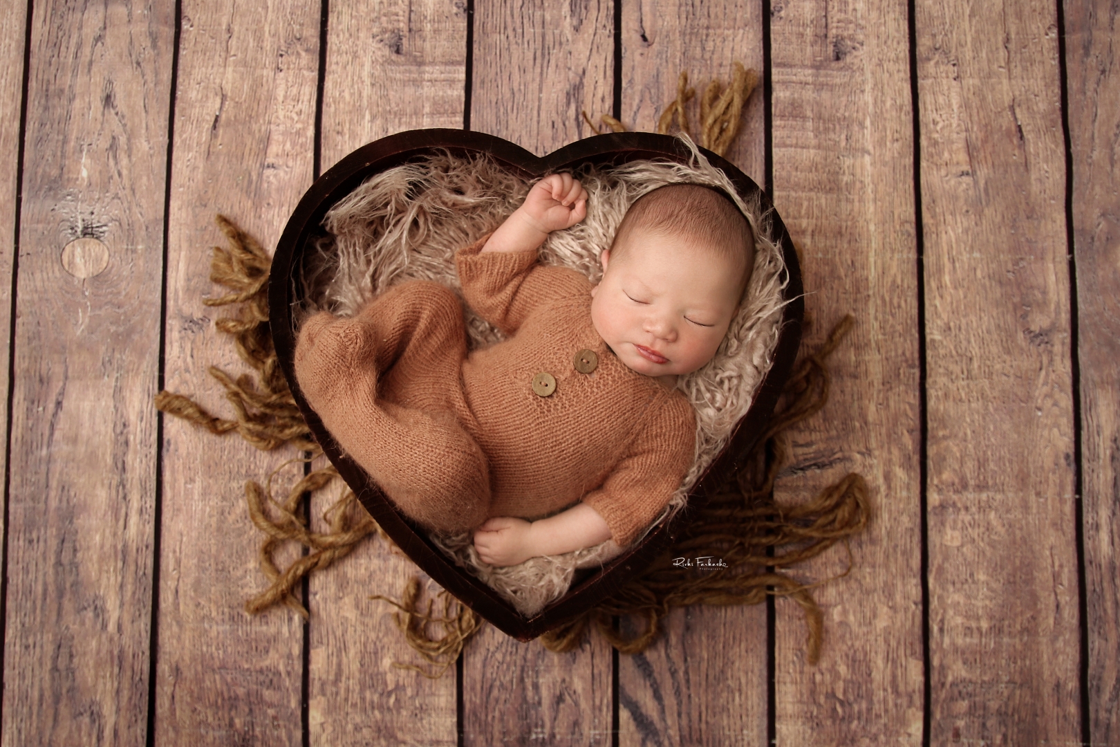 צילום רבקי פרקש (4).jpg