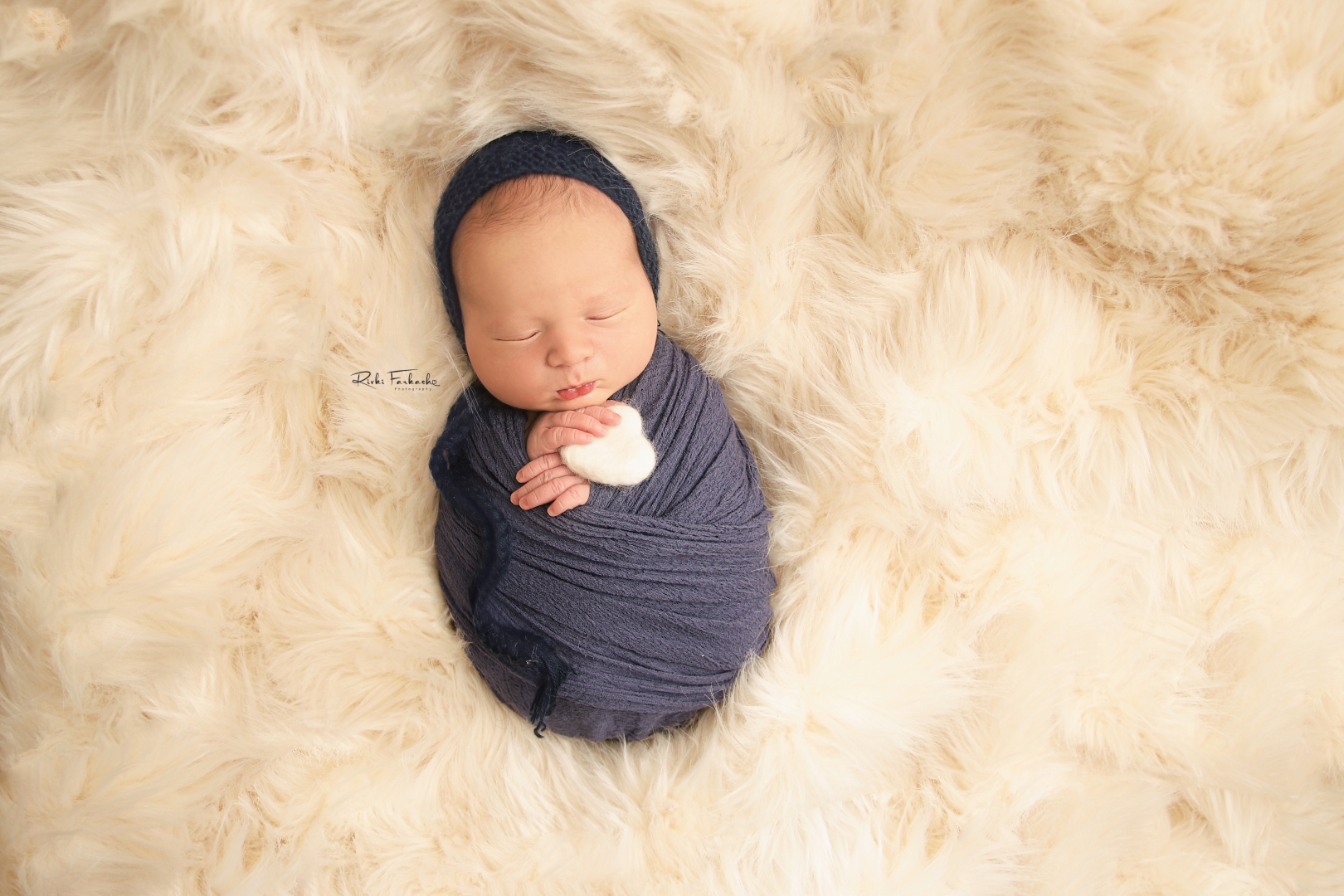 צילום רבקי פרקש (4) (Large).jpg