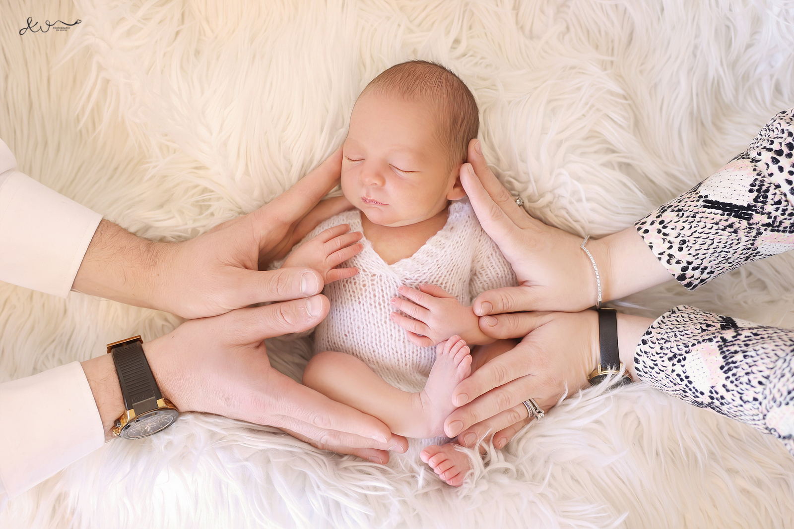 צילום רוחי (2).JPG