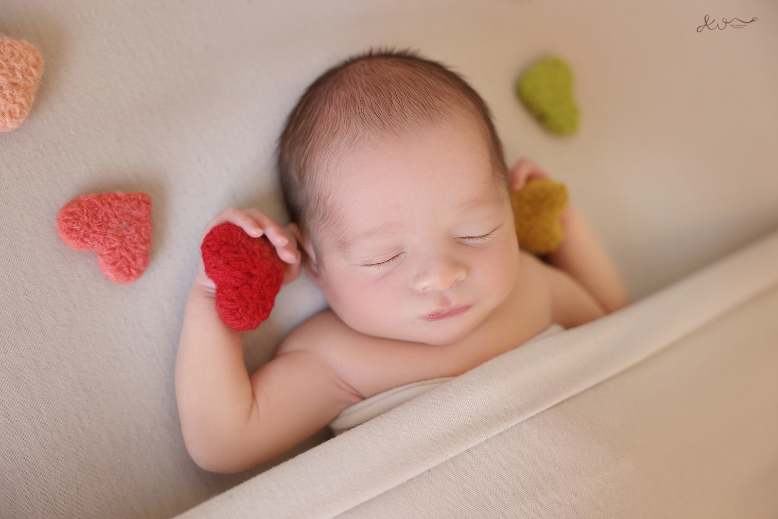 צילום רוחי (67).JPG