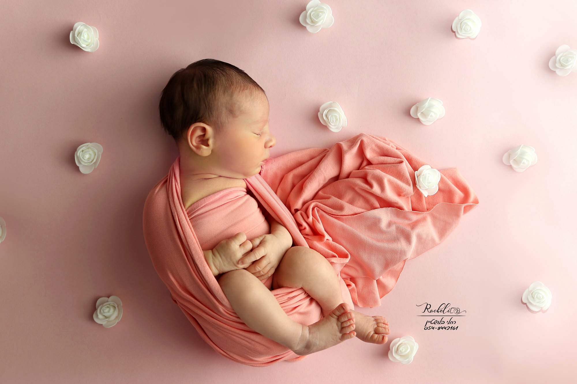 צילום רחלי בלושטיין (1).jpg