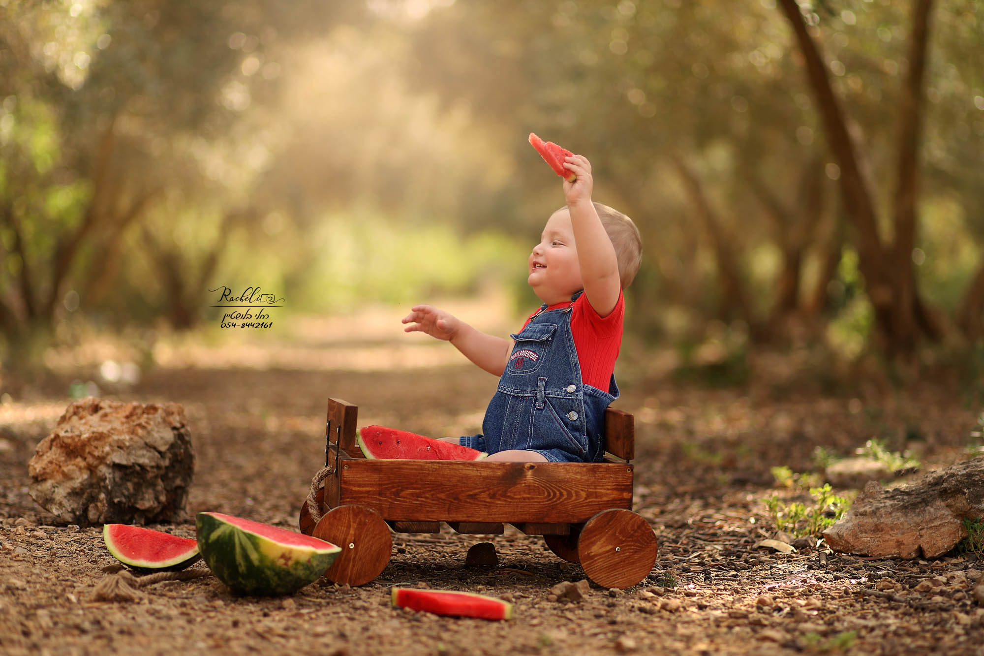 צילום רחלי בלושטיין-12.jpg