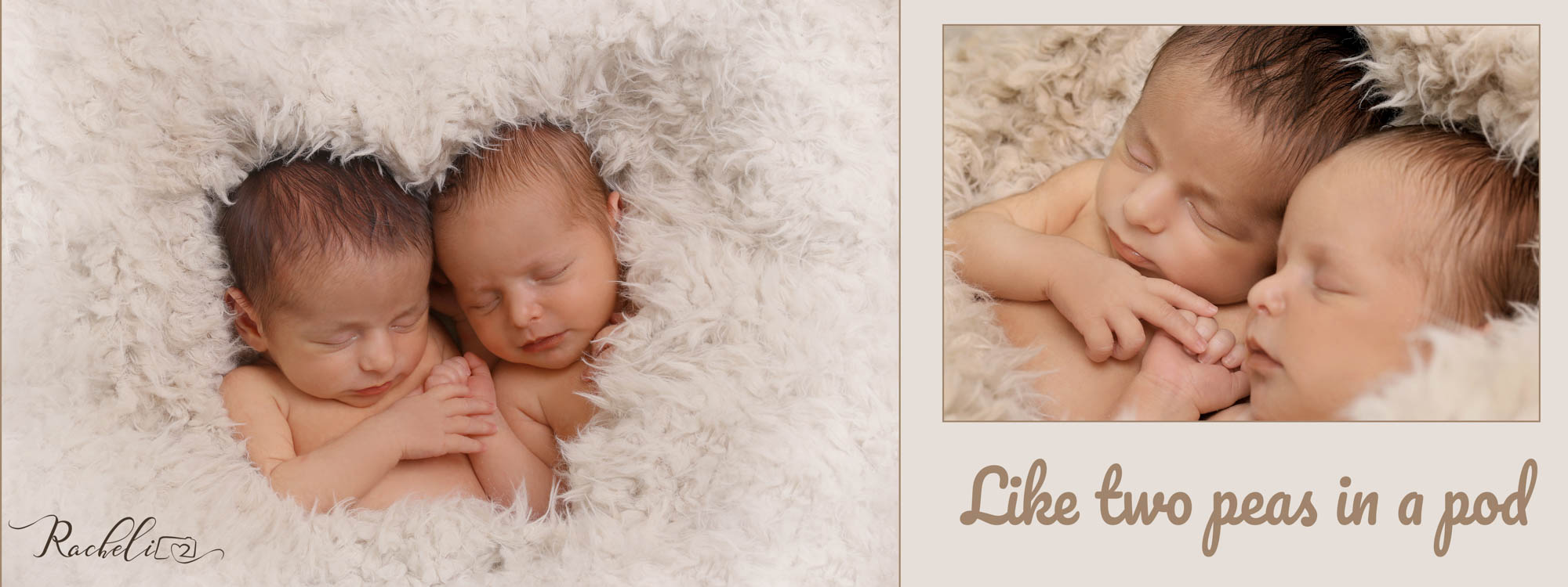 -צילום רחלי בלושטיין-18.jpg