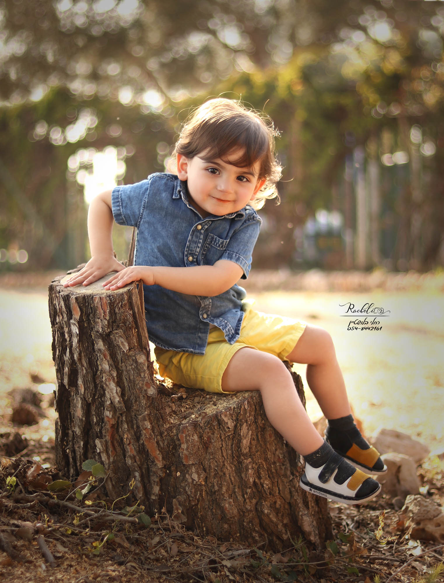 צילום רחלי בלושטיין (2).jpg