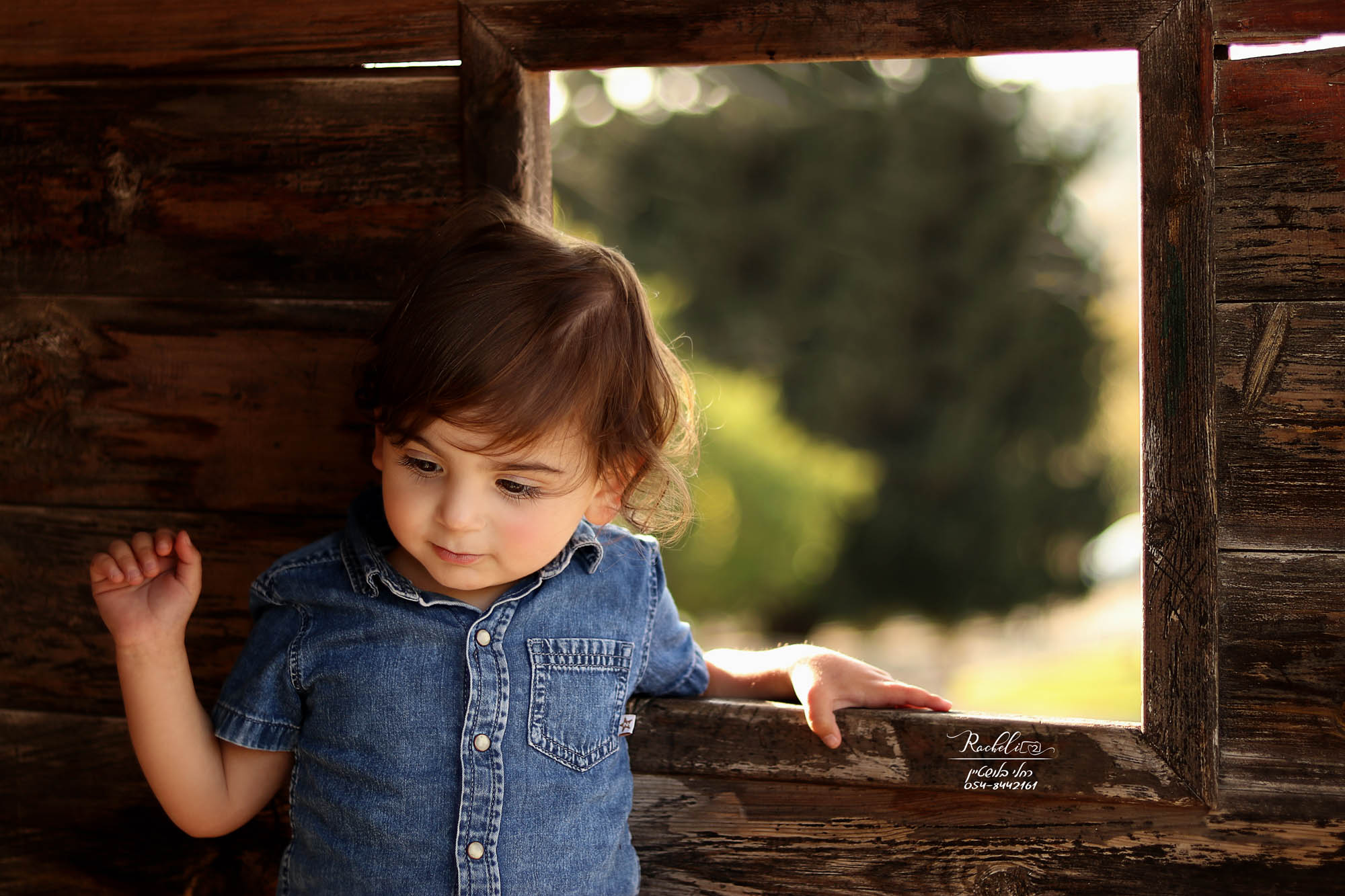 צילום רחלי בלושטיין-2.jpg