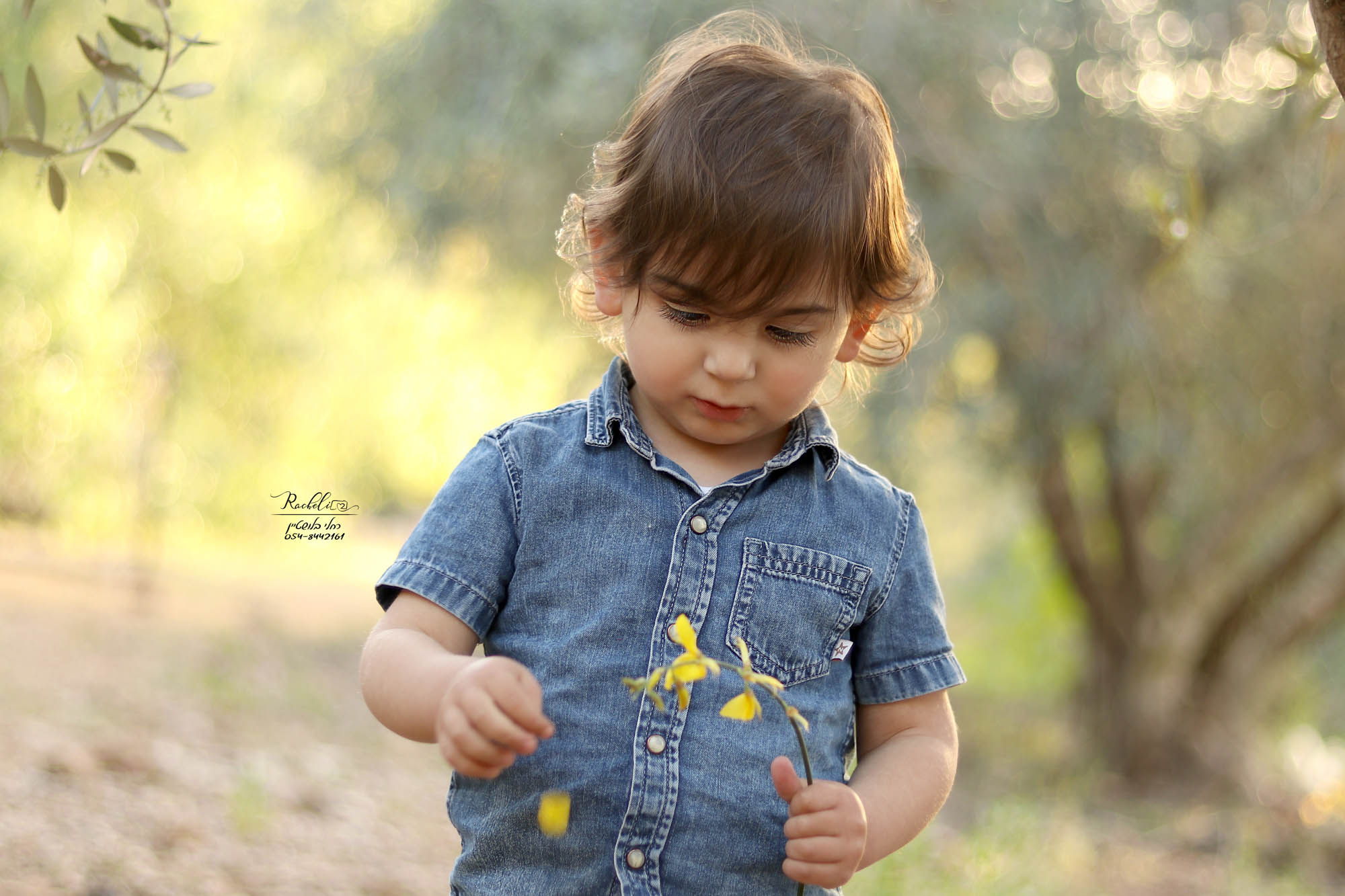 צילום רחלי בלושטיין-6.jpg