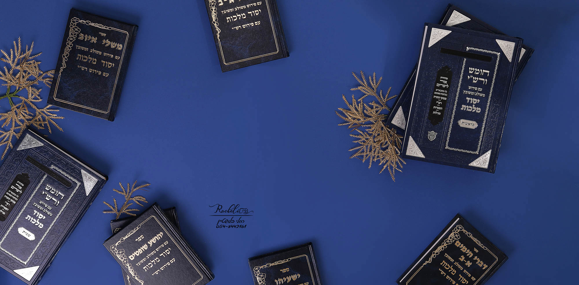 צילום רחלי בלושטיין.jpg