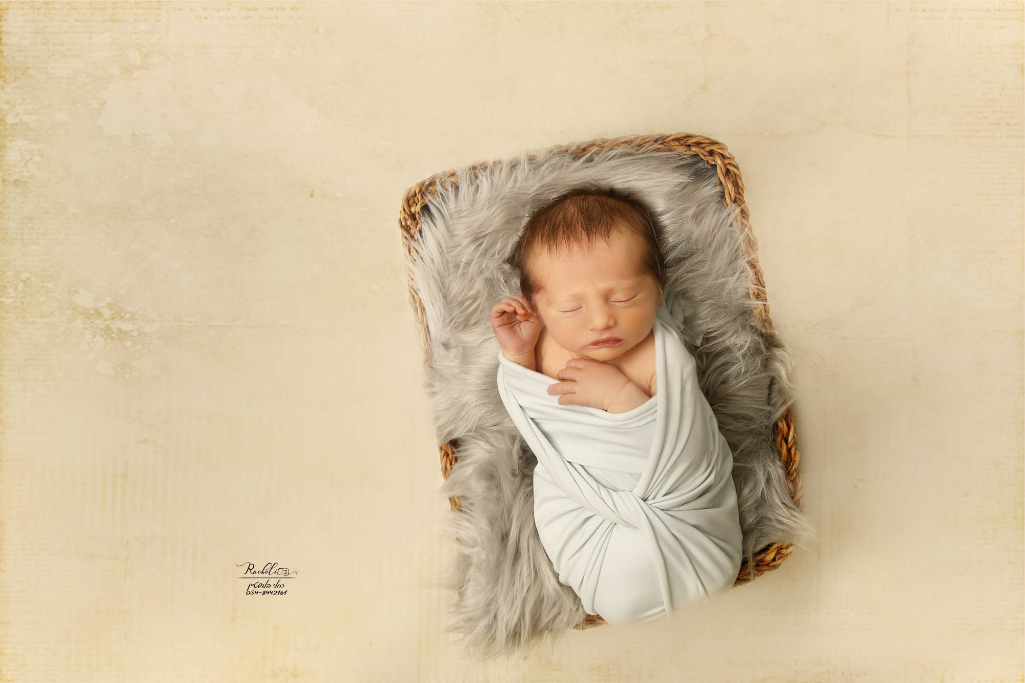 צילום רחלי בלושטיין.jpg