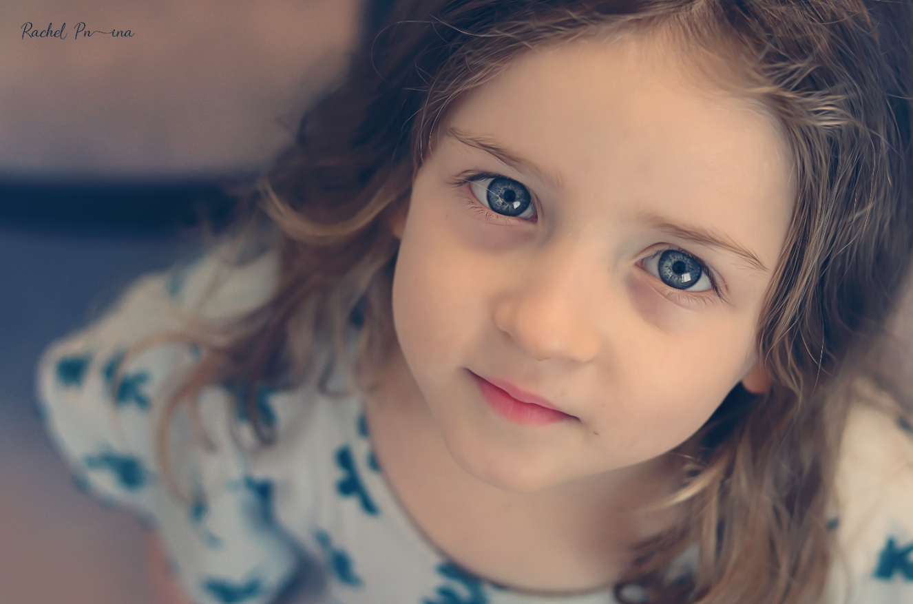 צילום רחל אורן 0533139266.png