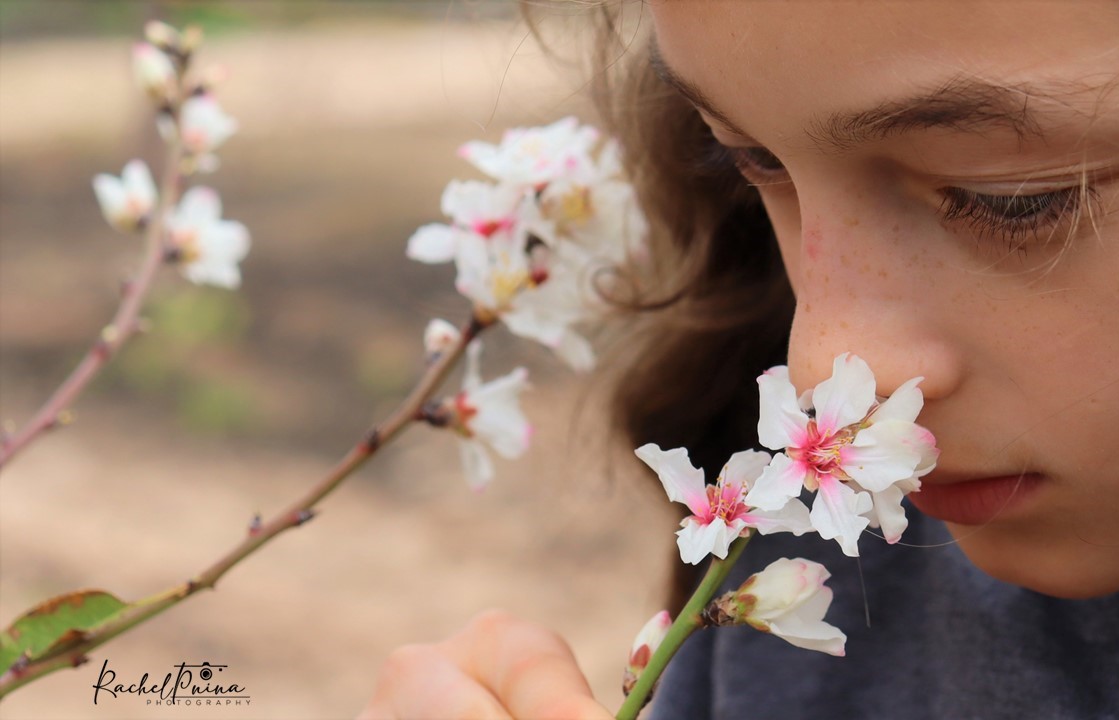 צילום רחל אורן.jpg