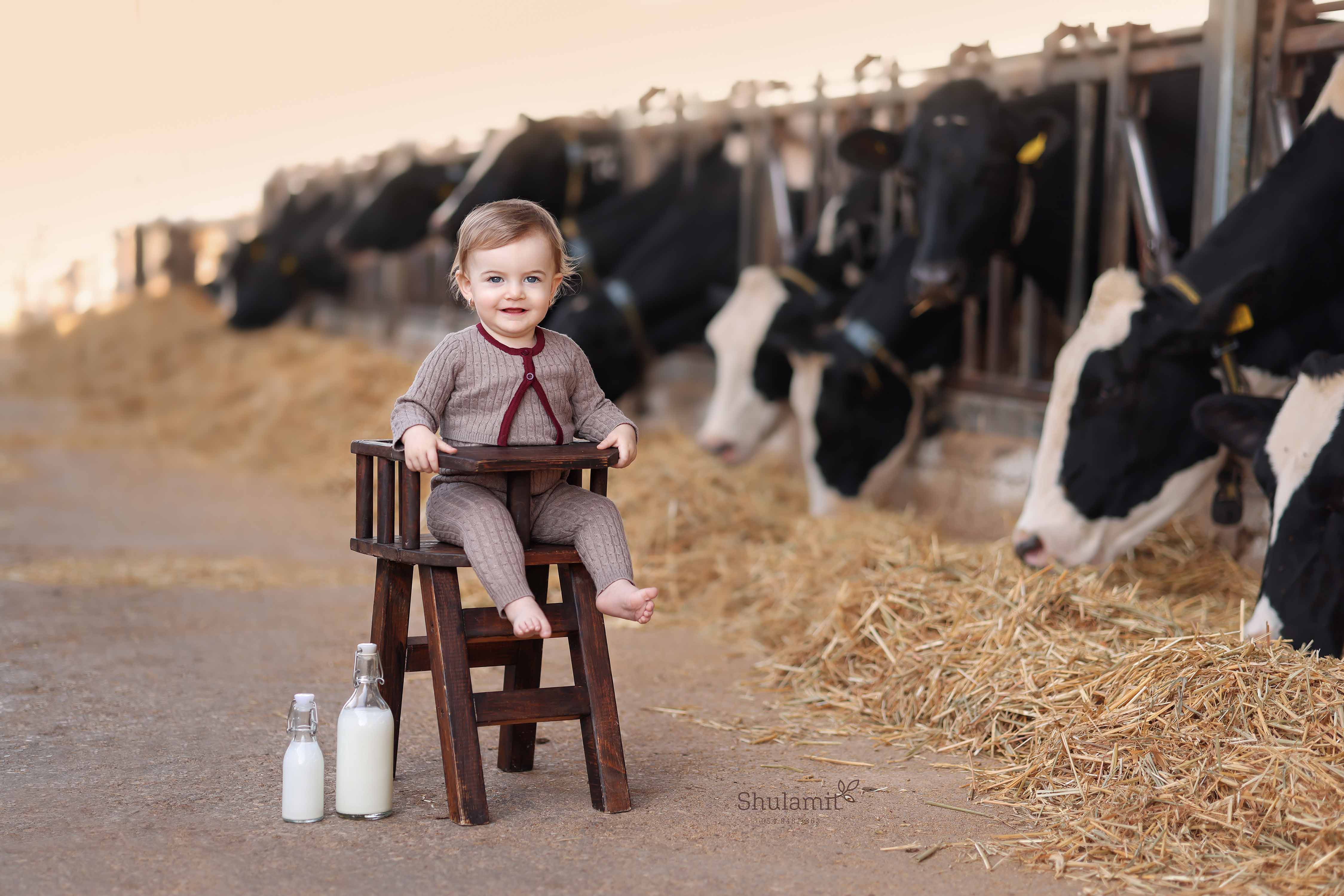 צילום שולמית 0548483863 (1).jpg