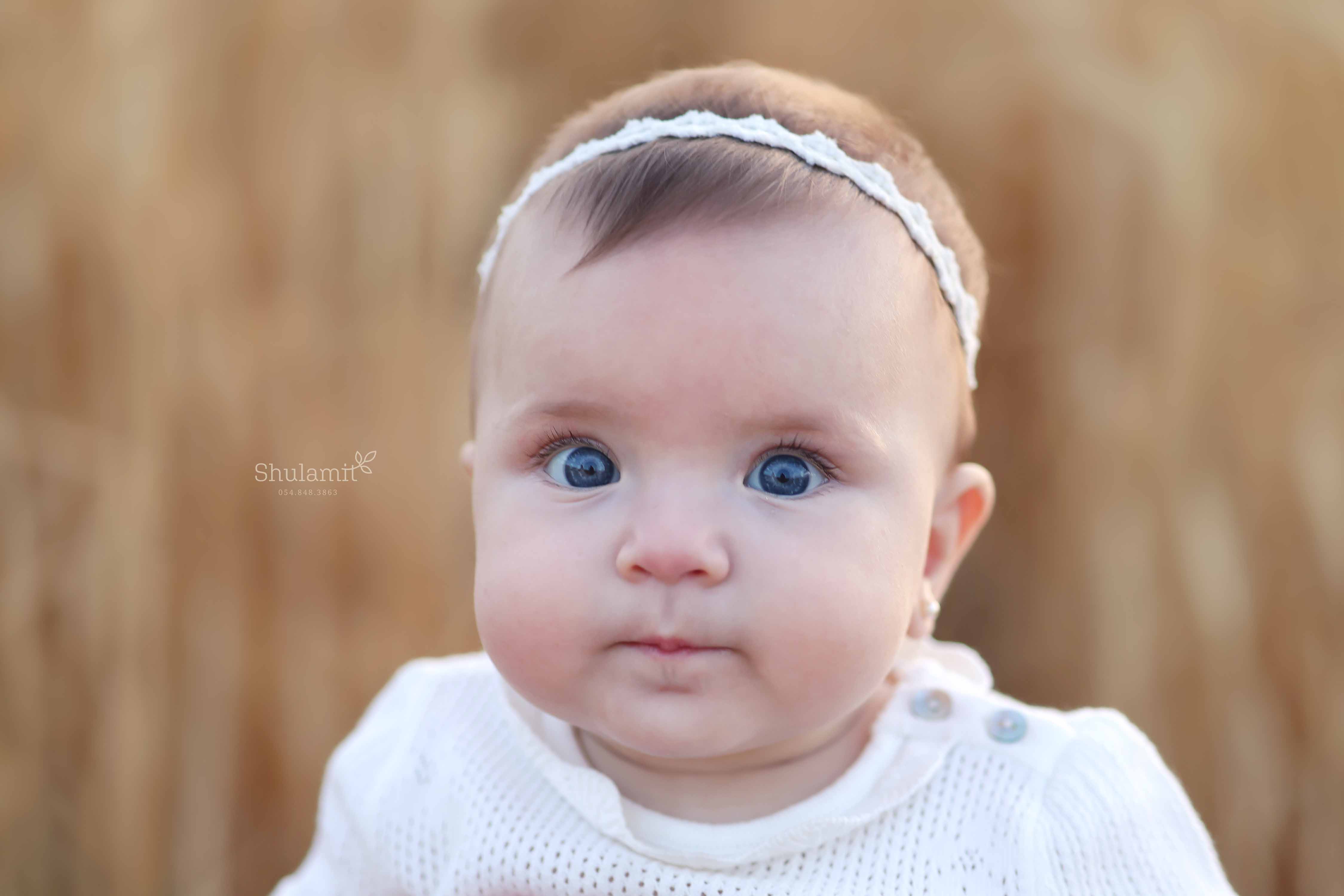 צילום שולמית 0548483863 (2).jpg