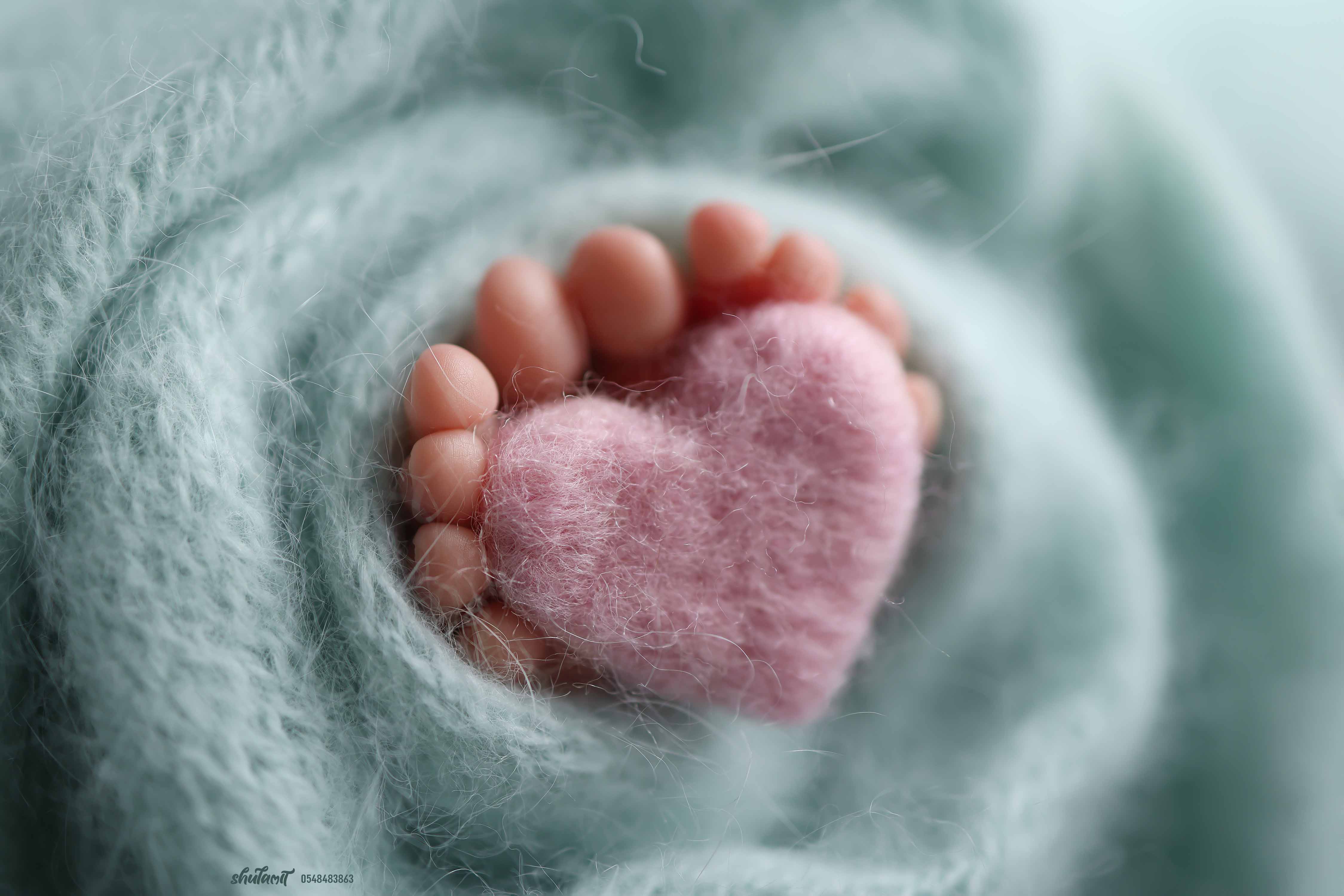 צילום שולמית 0548483863 (8).jpg