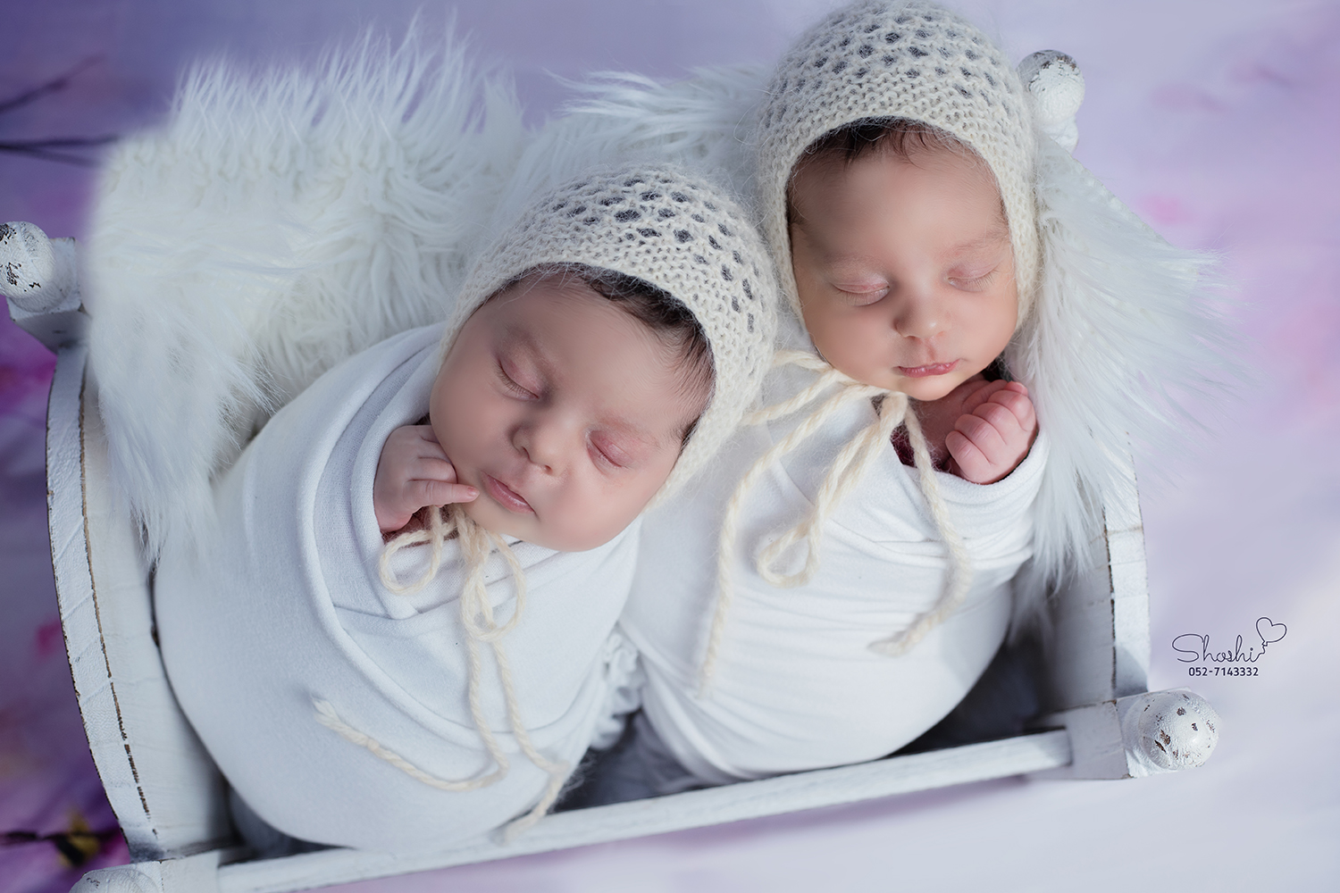 צילום שושי אקשטיין 052-7143332_1.jpg