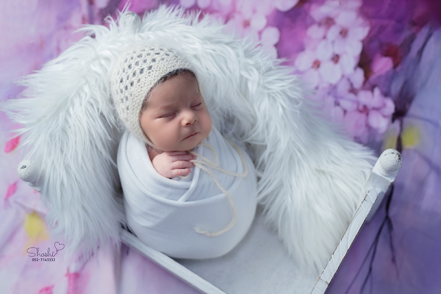 צילום שושי אקשטיין 052-7143332_3.jpg