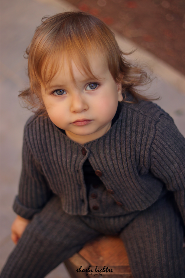 צילום שושי ליכטר 0533116200_נמוכה.png