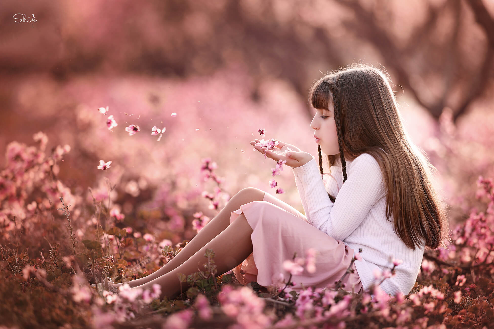 צילום שיפי נמטובסקי (11).jpg