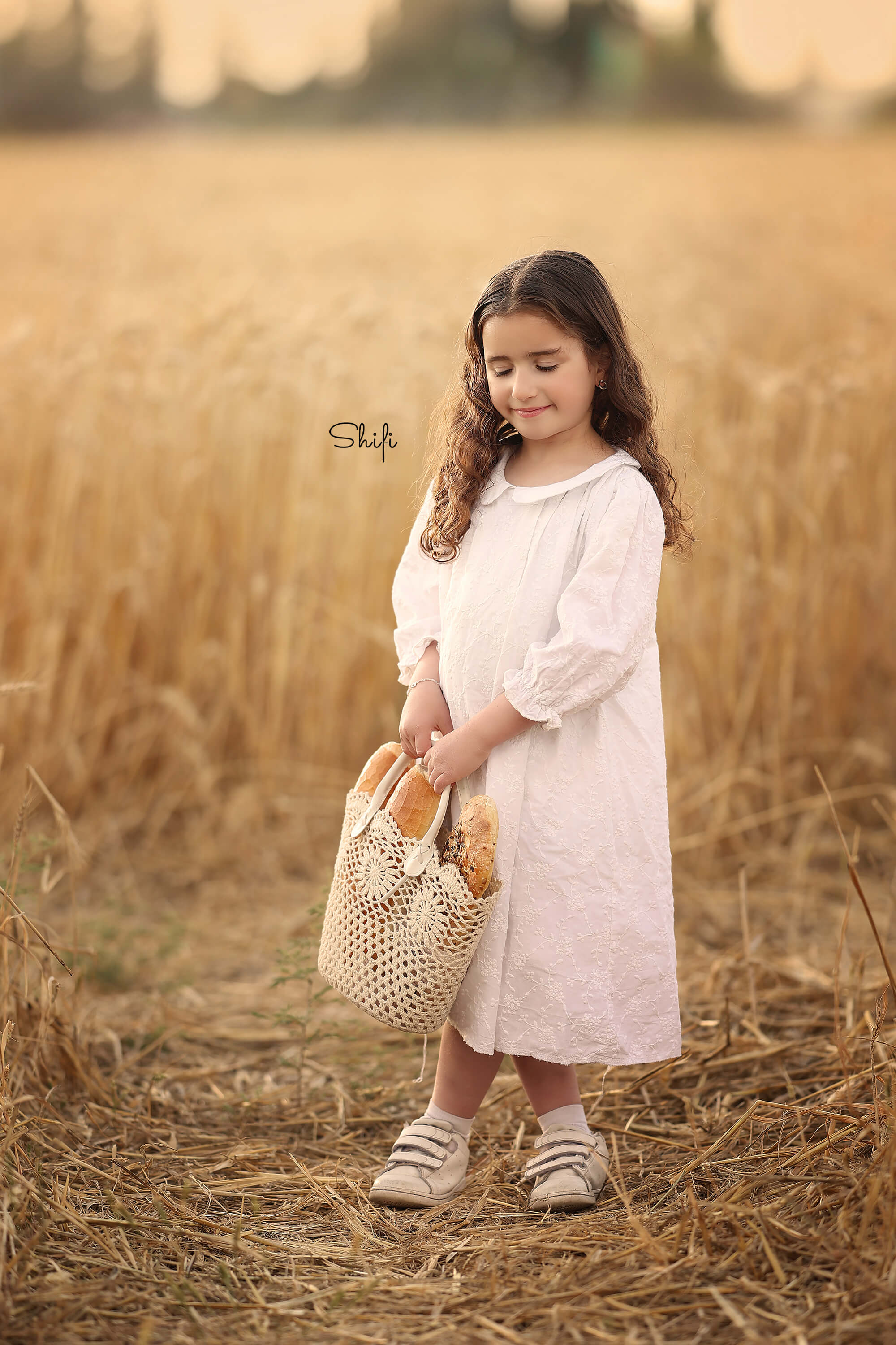 צילום שיפי 0548517049 (1).jpg