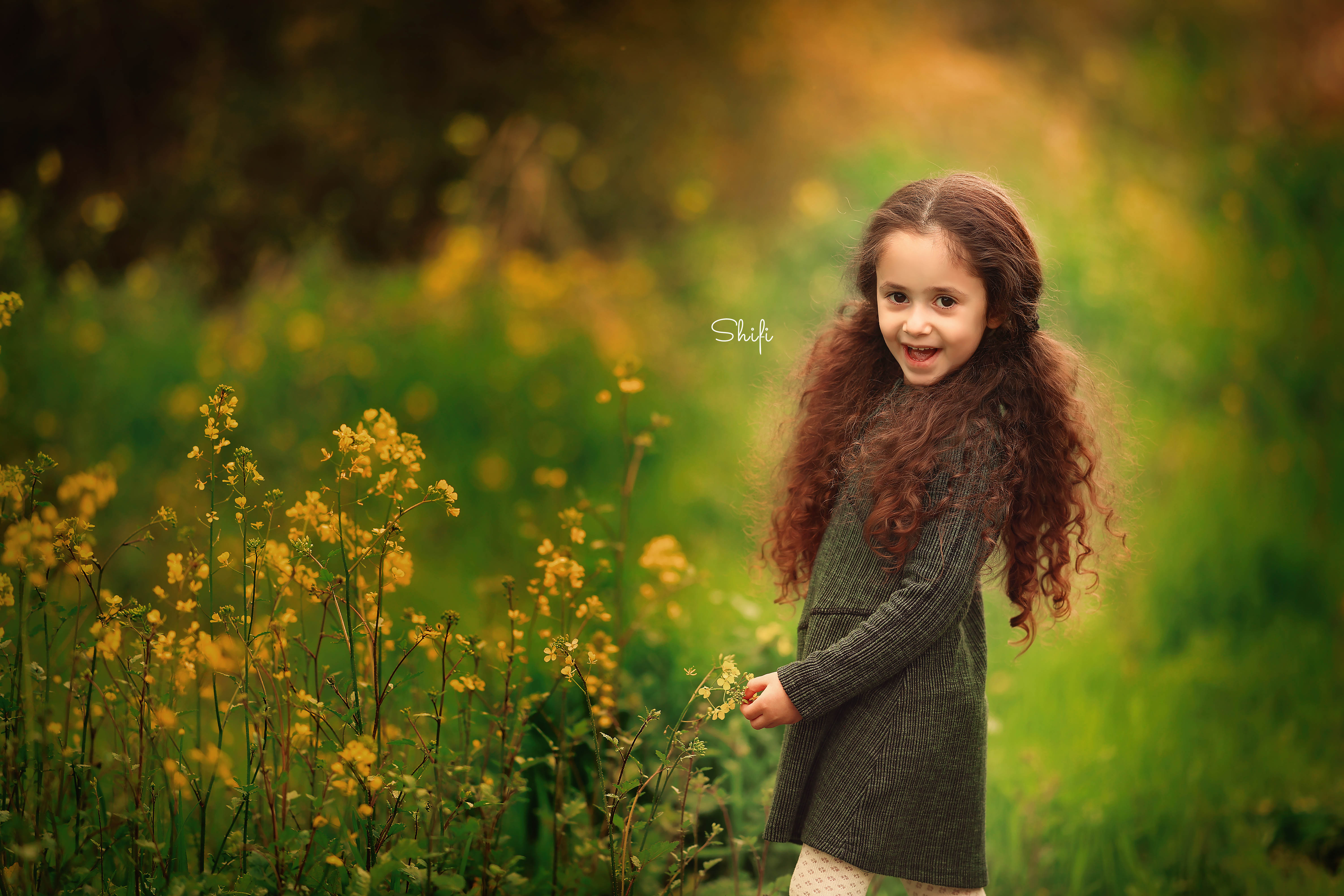 צילום שיפי 0548517049 (1).jpg