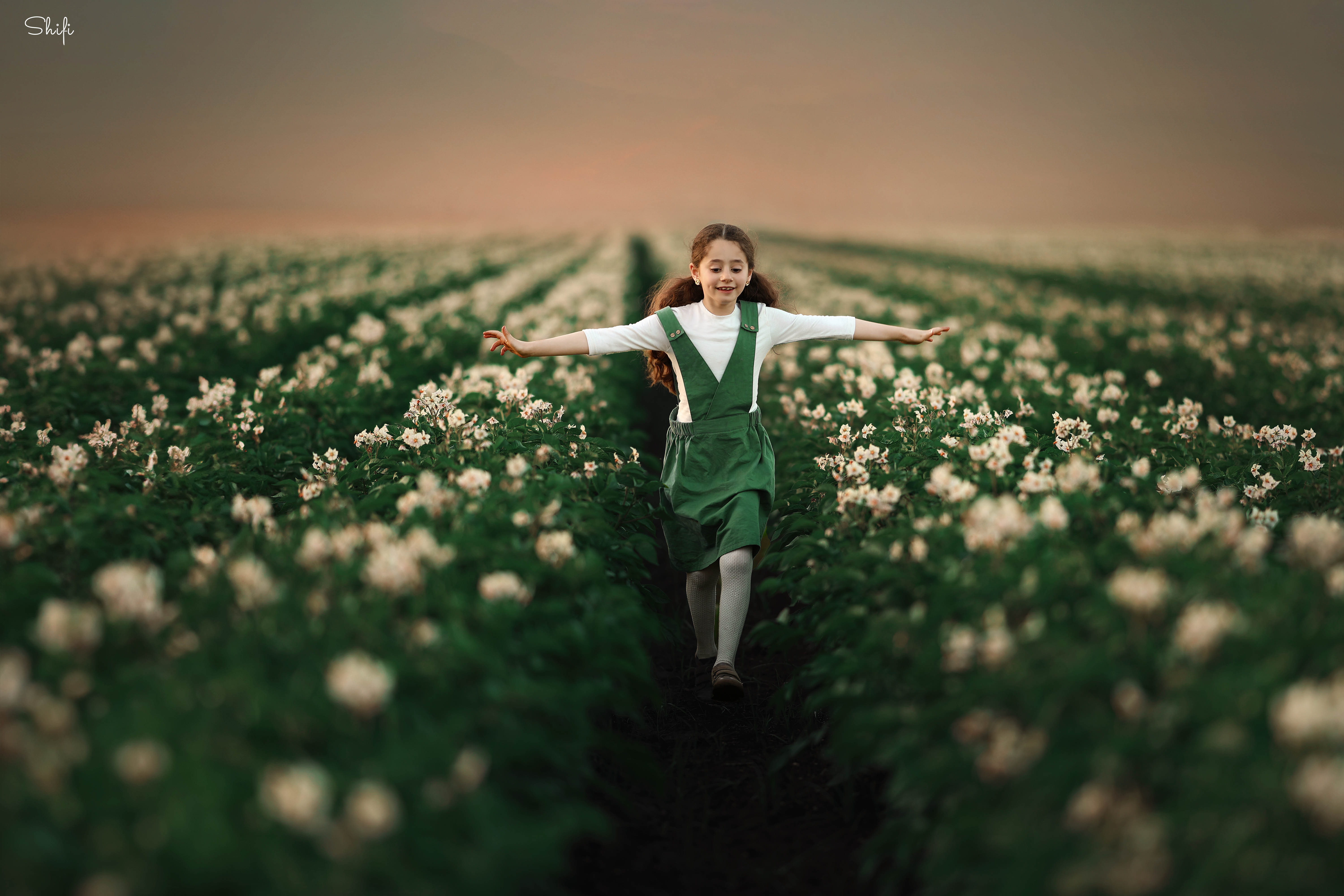 צילום שיפי 0548517049 (1).jpg